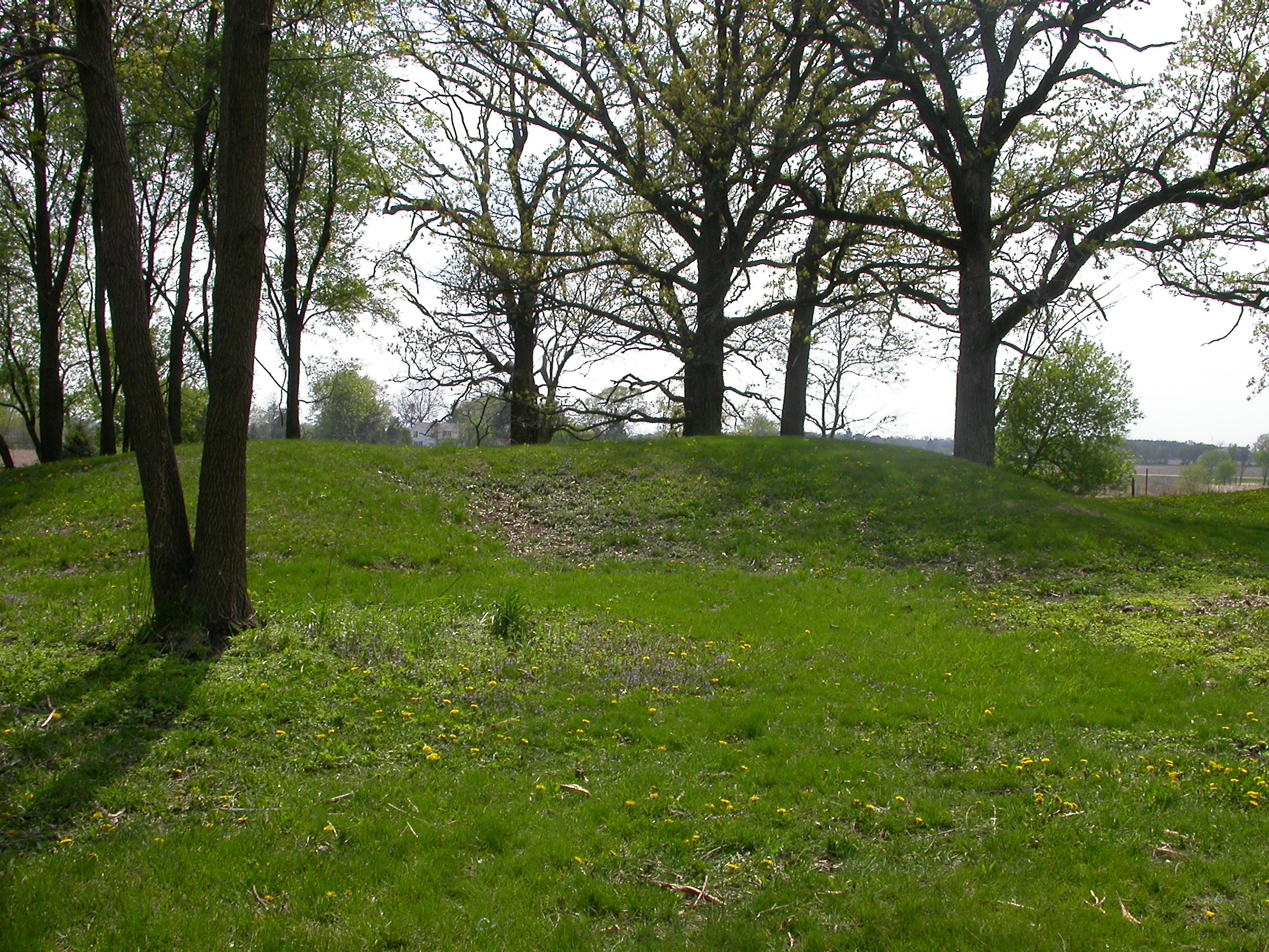 Pictured is a water spirit at Whitewater Indian Mounds Park