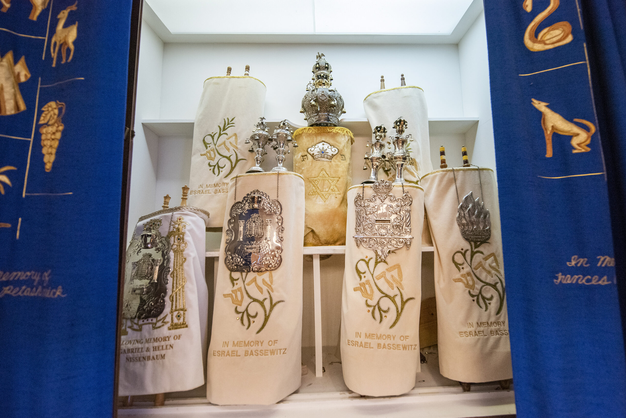 Seven Torahs are on display behind a blue curtain.