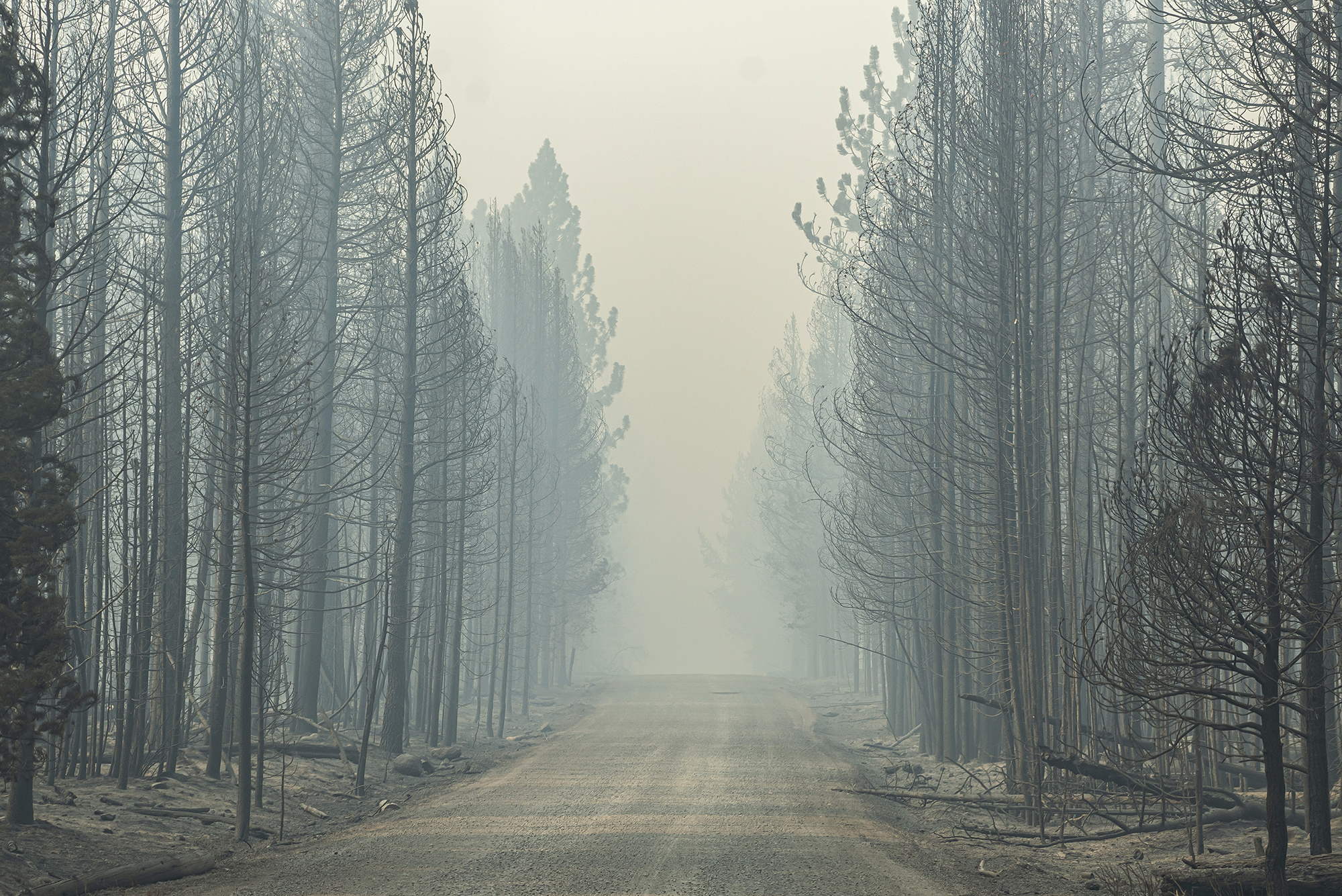 Fighting the Haze: Effects of Wildfire Smoke and Particulate