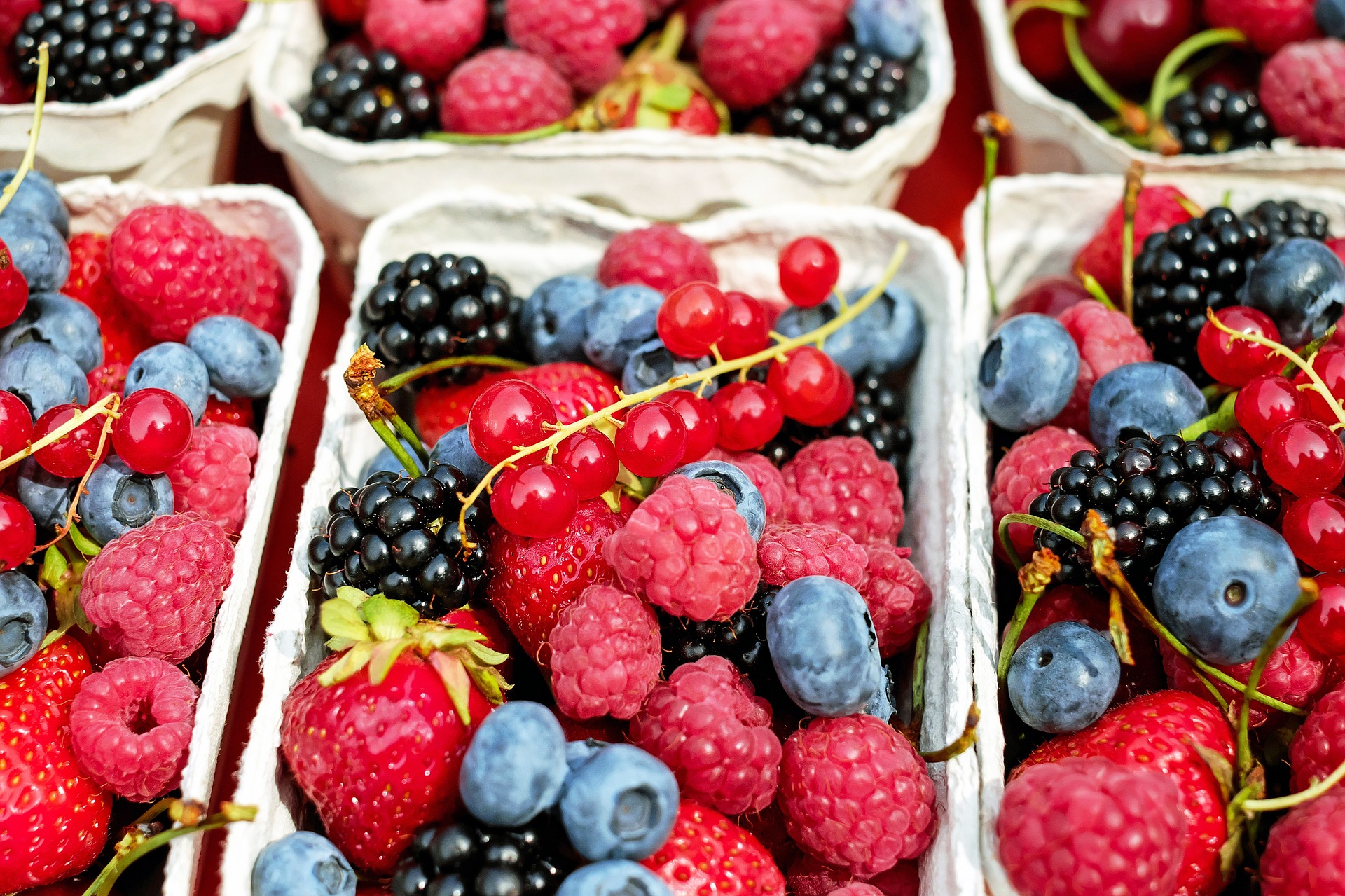Containers of different types of berries.