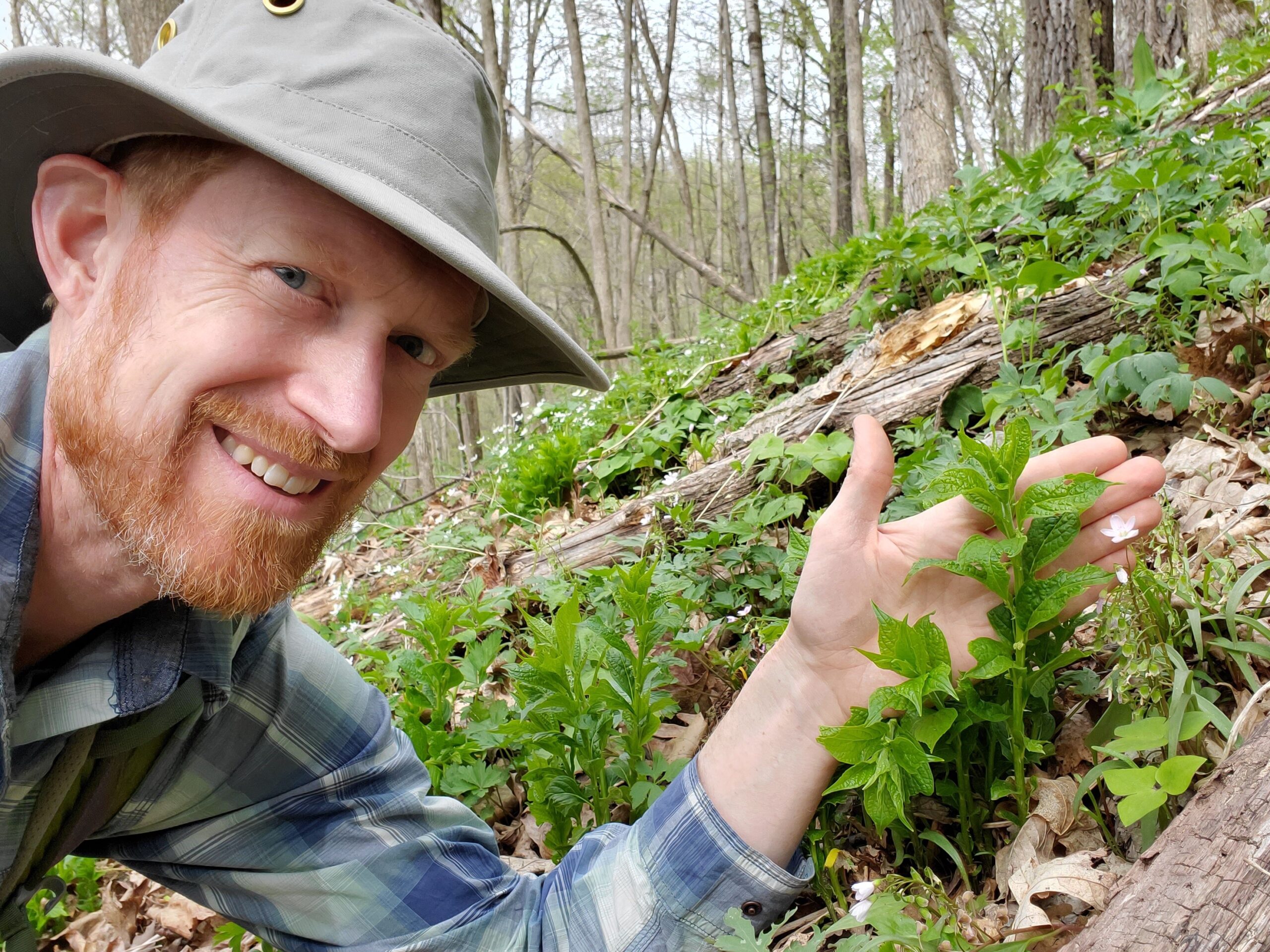 Conservation Biologist Finds Rare Wildflower In West-Central Wisconsin