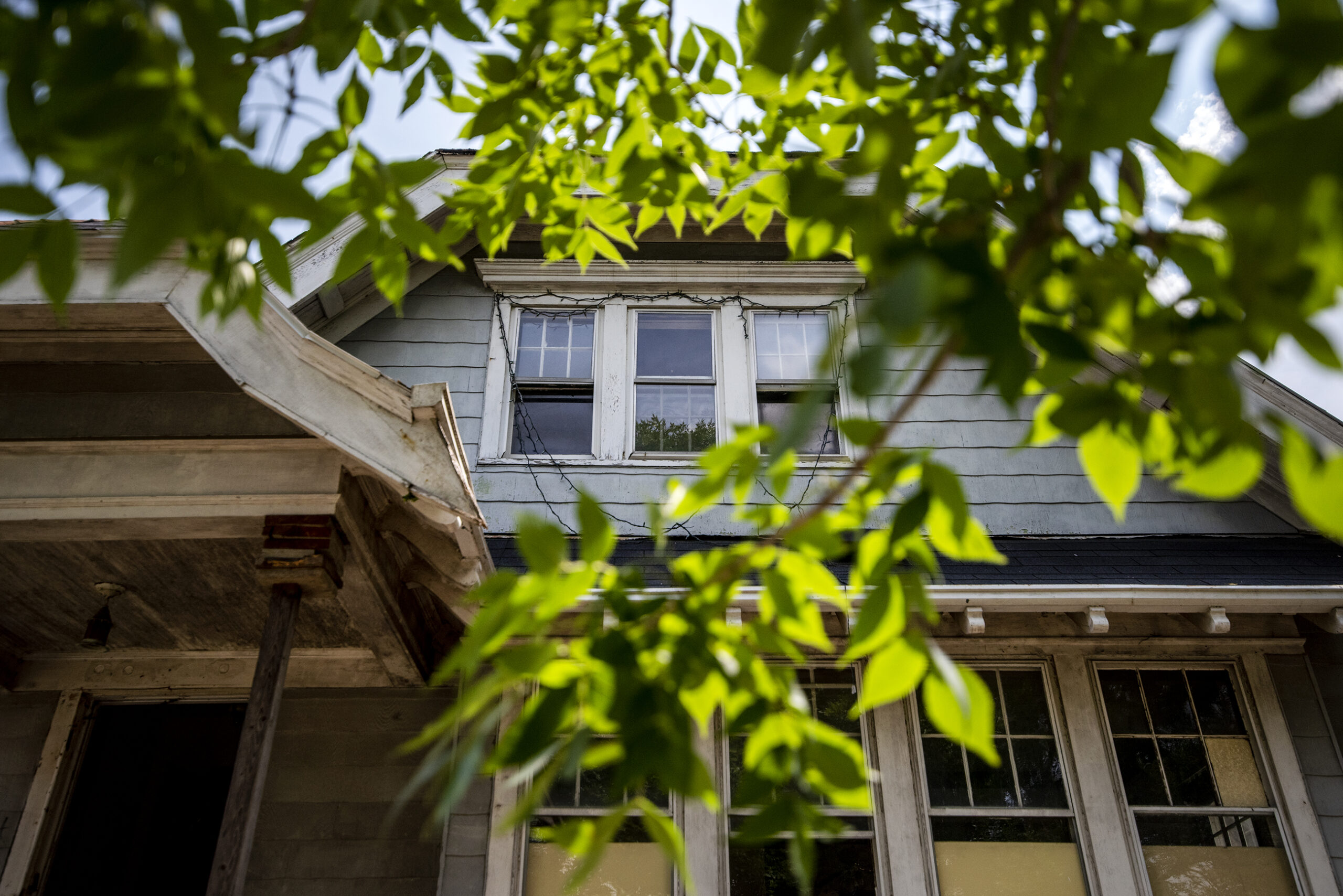 Sunshine illuminates green leaves. A home's upstairs windows and blue exterior can be seen.