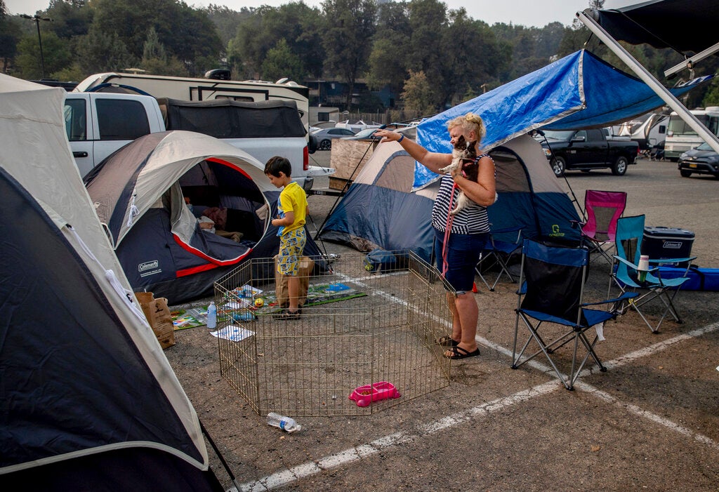 A woman holds a small dog in a parking lot surrounded by tents and cars.