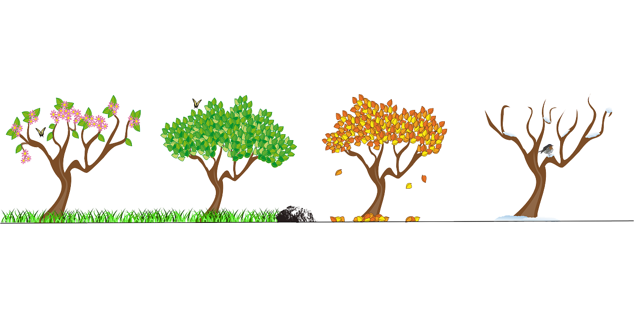 illustrated image depicting four trees, each in a different season.