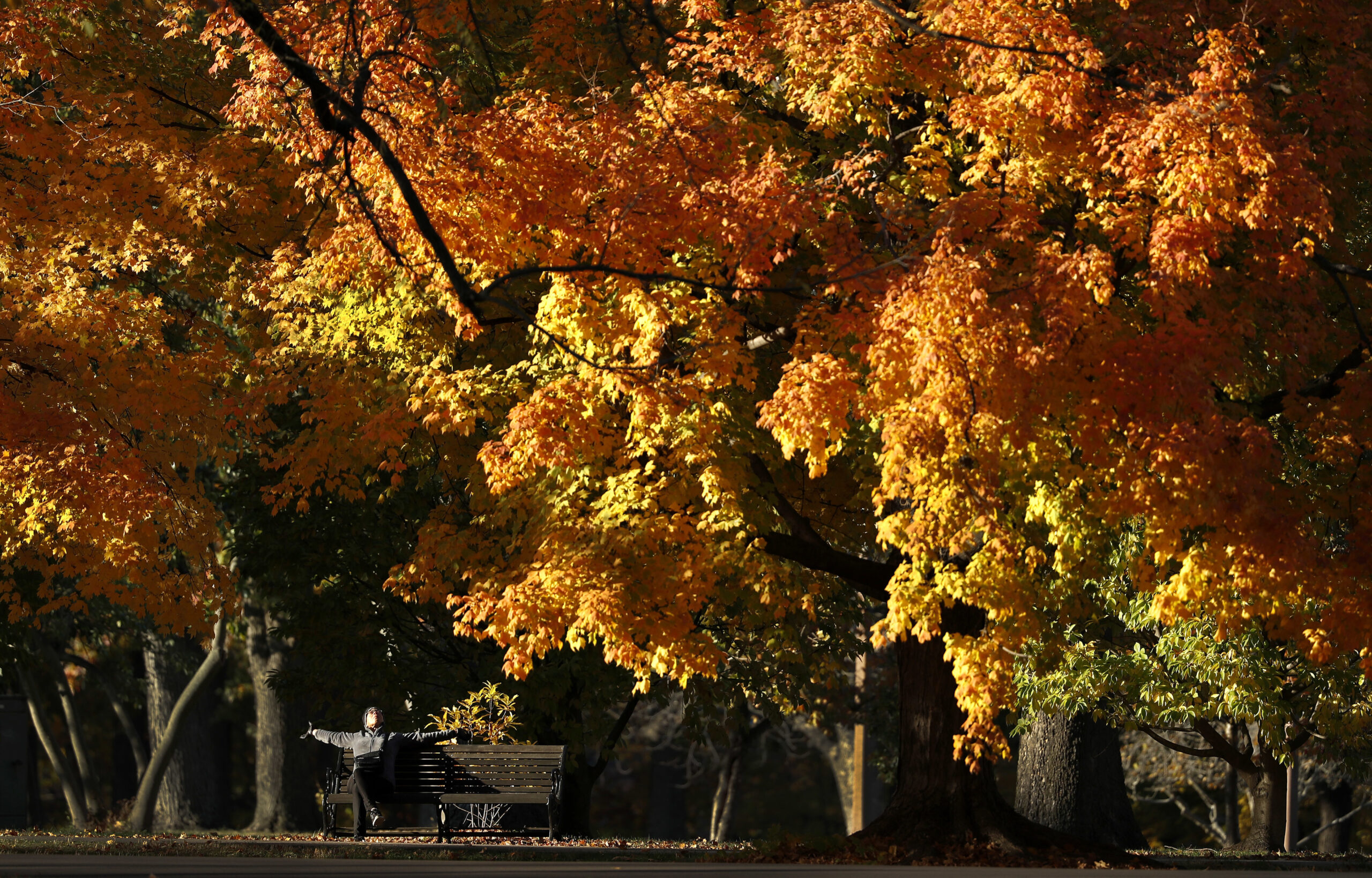 Maxine Williams stretches as she sits on a bench under trees as their leaves change color on a calm autumn day
