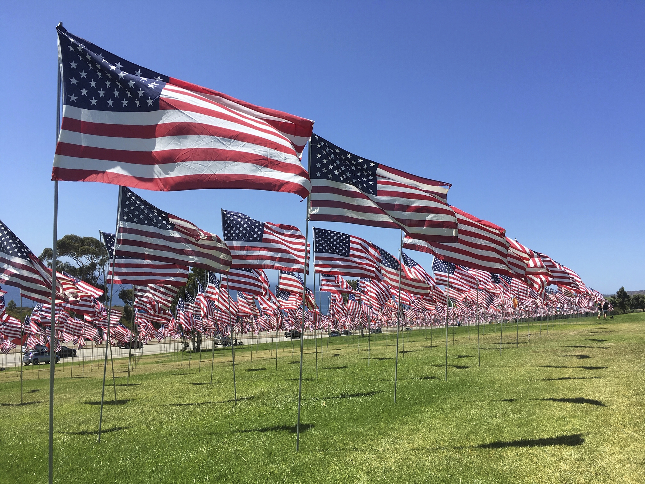 Thousands of flags representing each of the 9/11 terrorist attack victims wave.