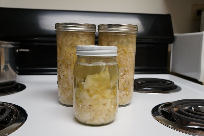 sauerkraut fermenting
