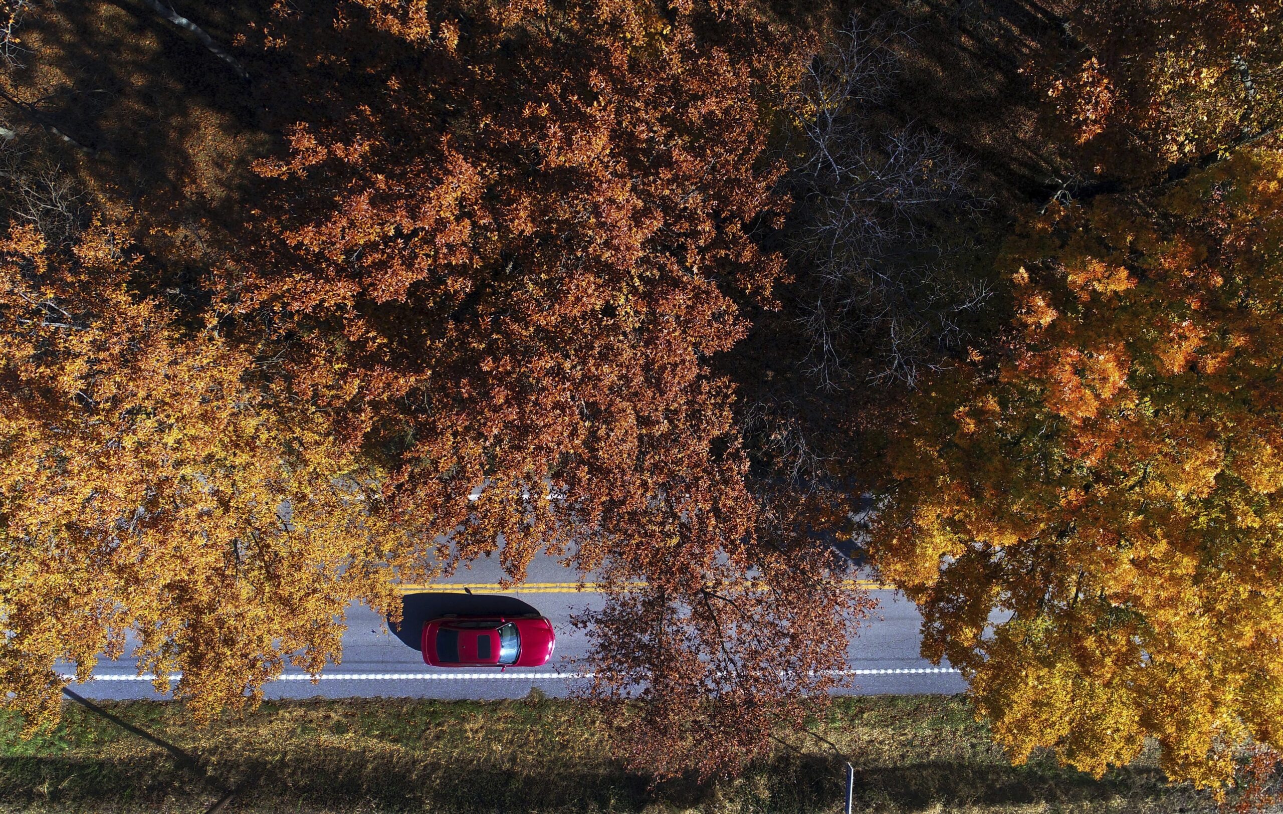 a car is seen driving down a two-lane rode as leaves on trees change color