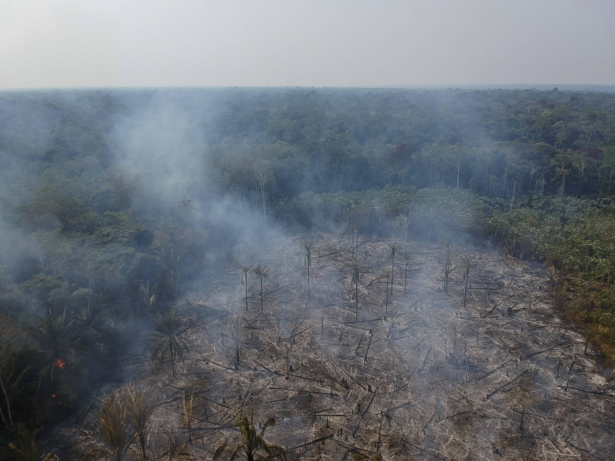 Fires destroying forest in the Amazon