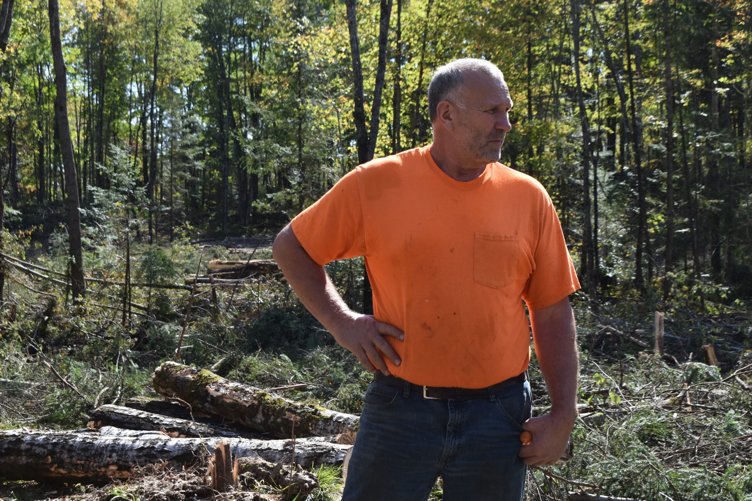 Paper mill closures drove a bust for Northwoods loggers, and some are leaving the industry