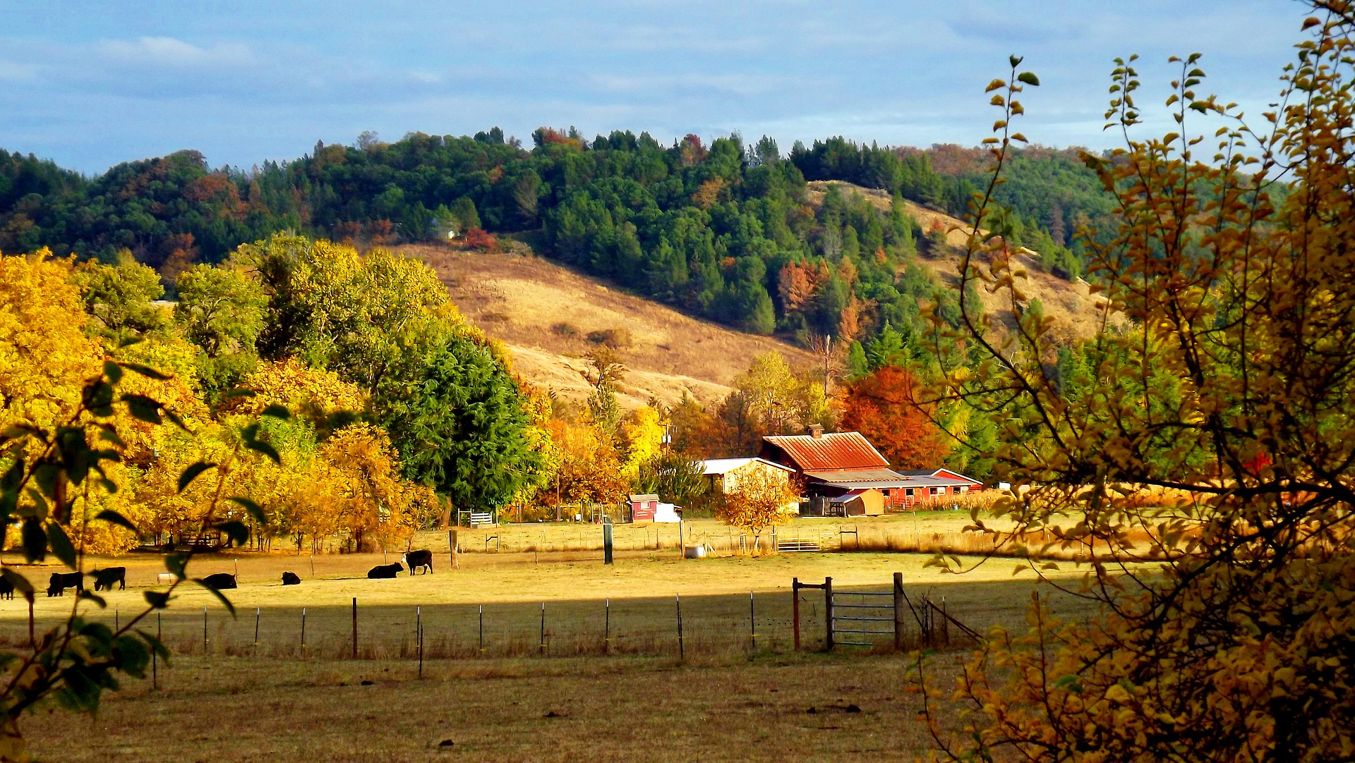 Farm in valley during the fall.