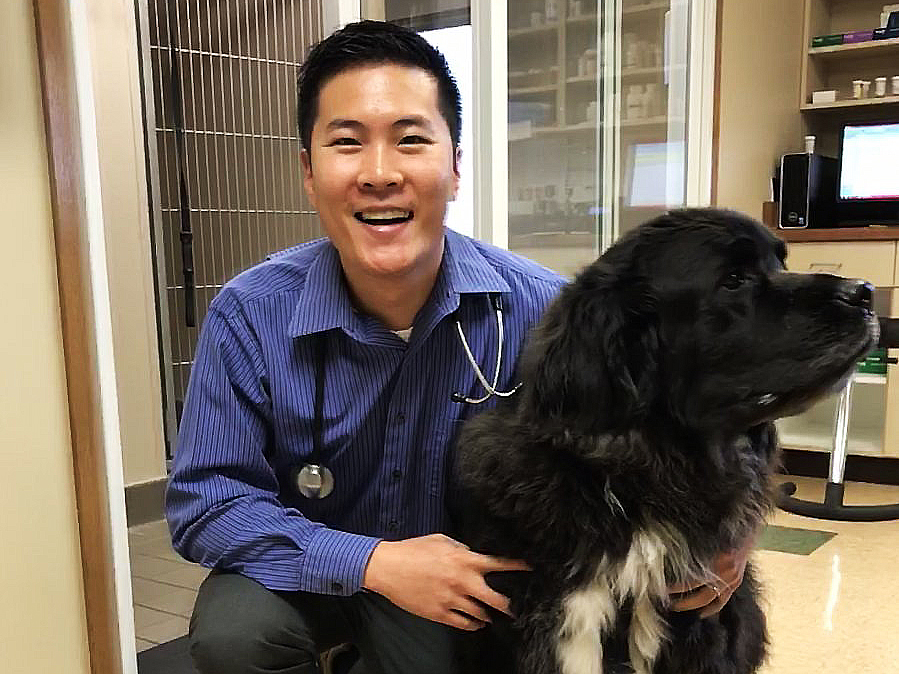 Kai Shiu, a veterinary oncologist, with a dog at his clinic