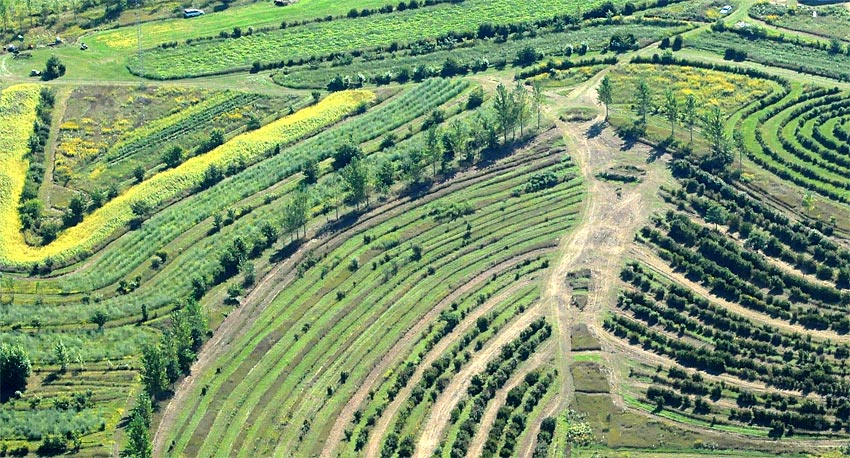 A bird's eye view of the farm.