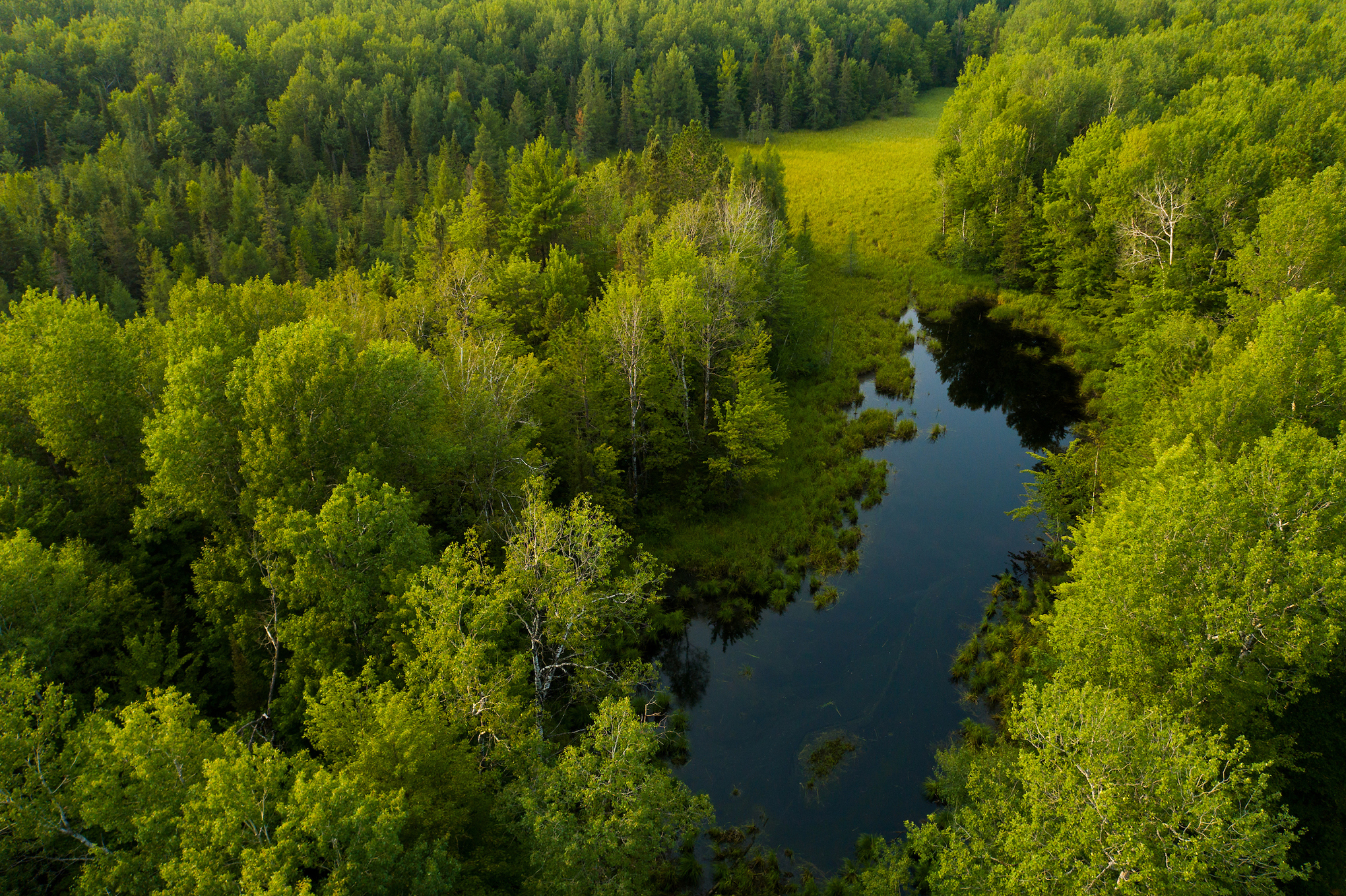 Legislature’s finance committee rejects funding for Wisconsin’s largest land conservation effort