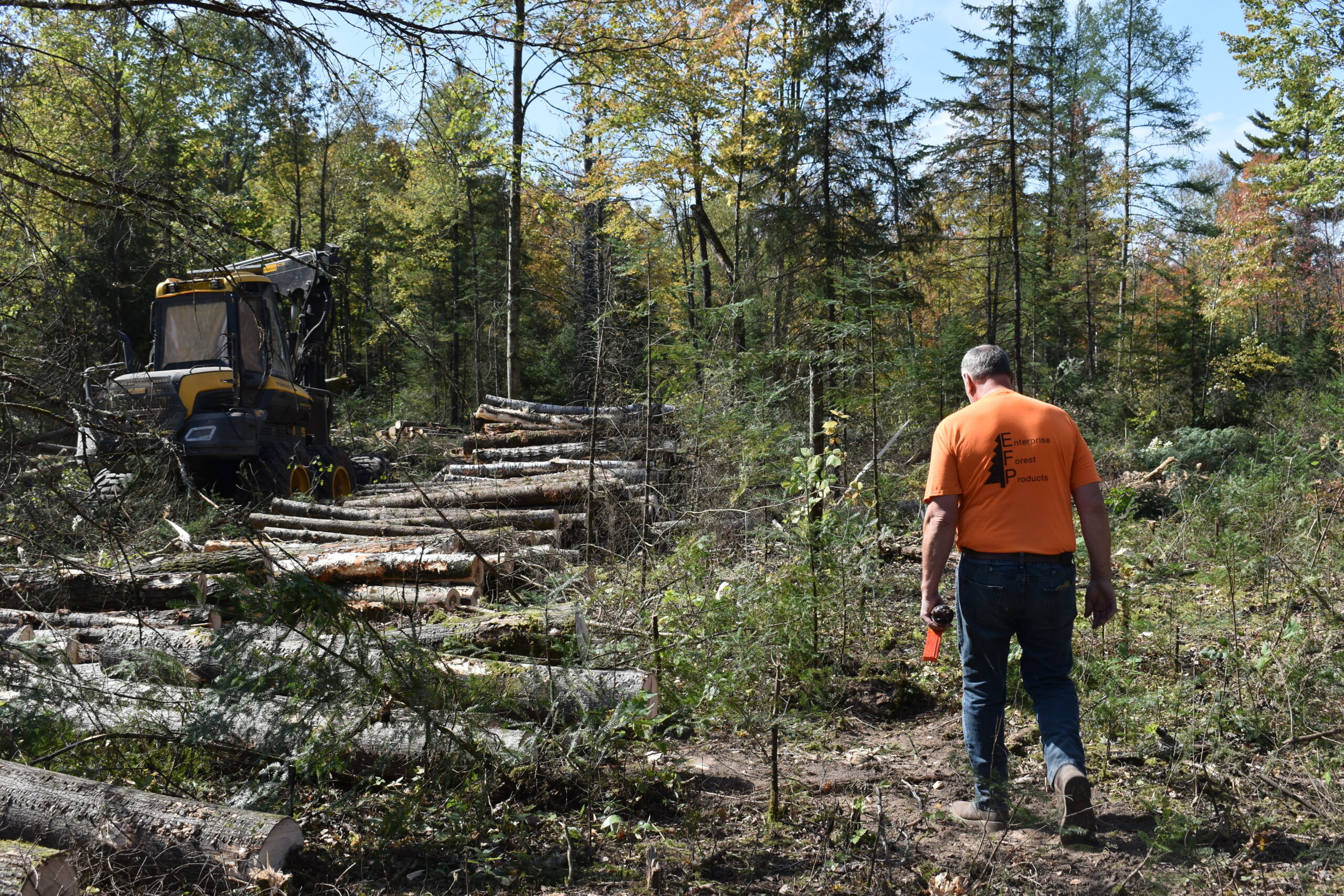 Dennis Schoeneck walks toward the harvester at the logging site