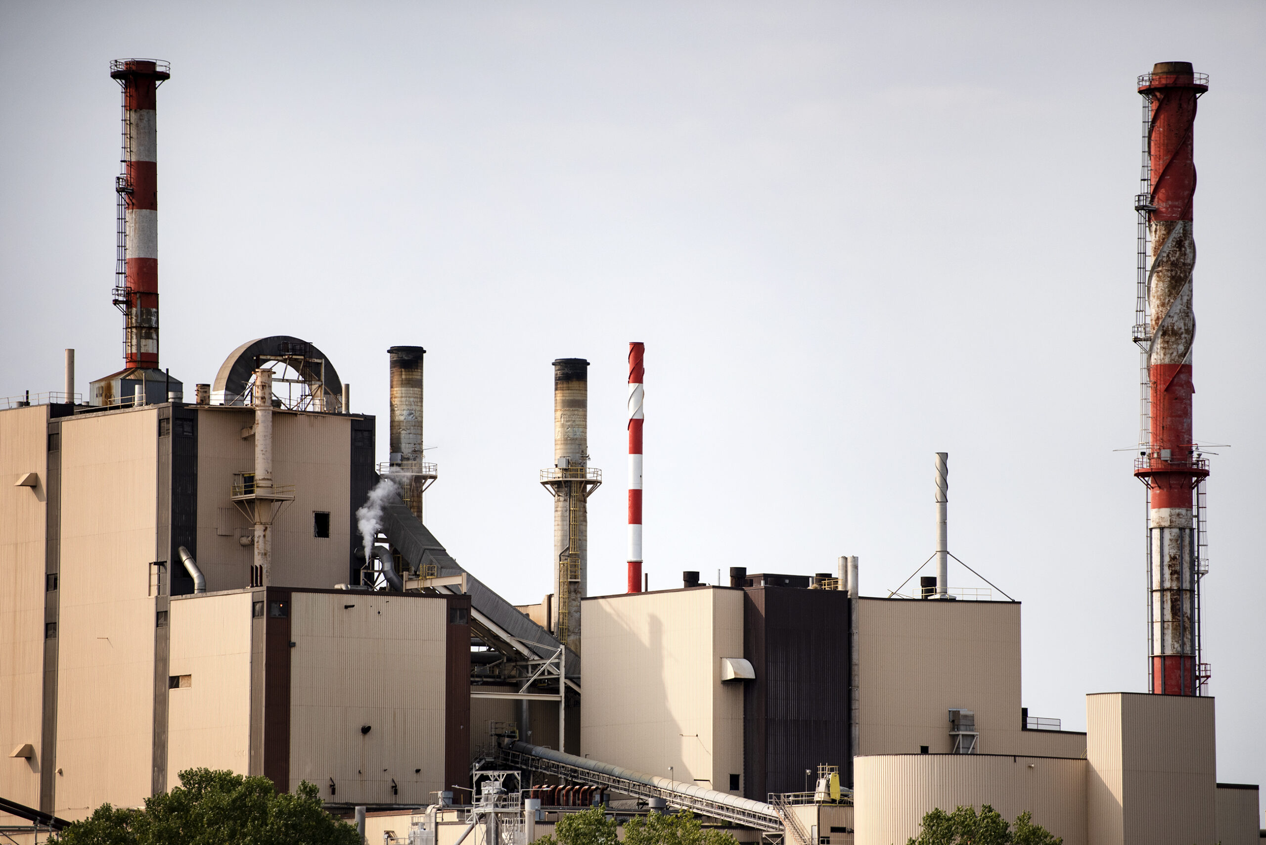 evening sun shines on the beige walls and red and white striped smoke stacks of the verso paper mill