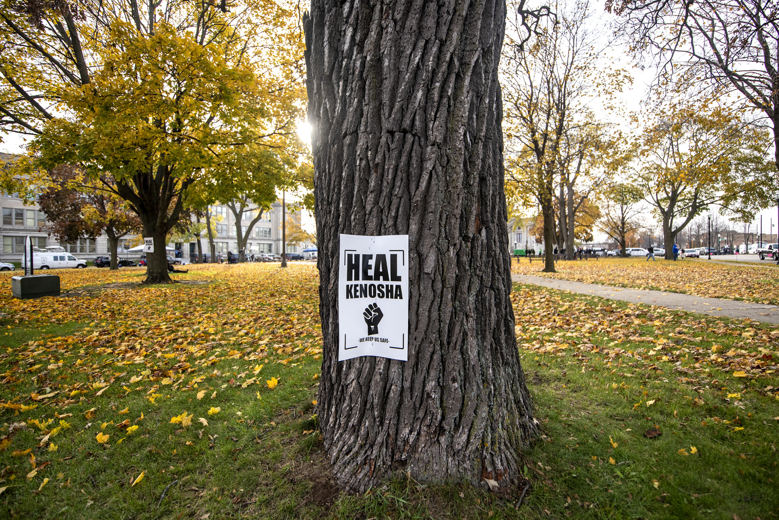 Yellow leaves cover green grass as the sun sets. A white sign on a tree trunk reads 