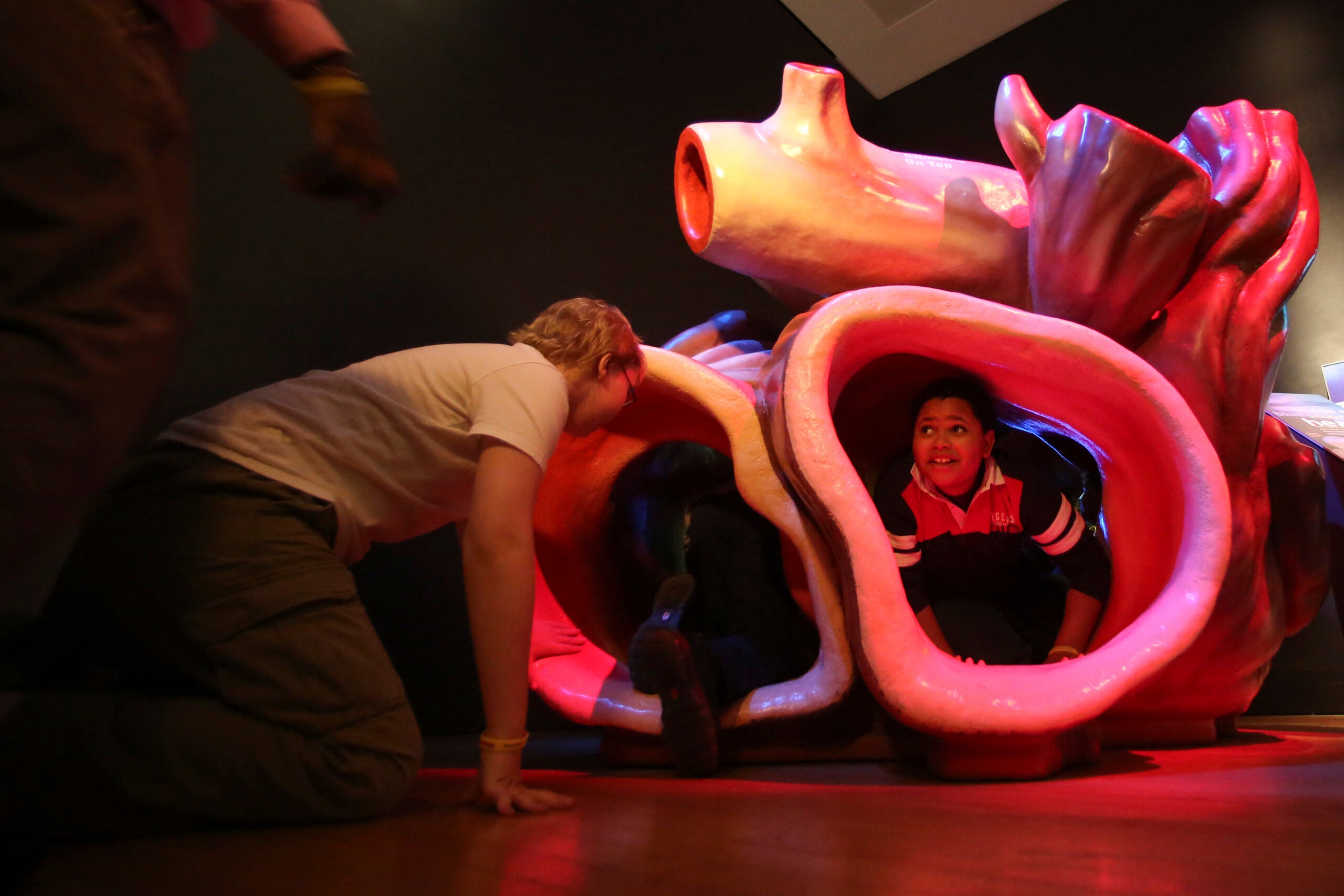 Children crawl in a replica of a whale heart