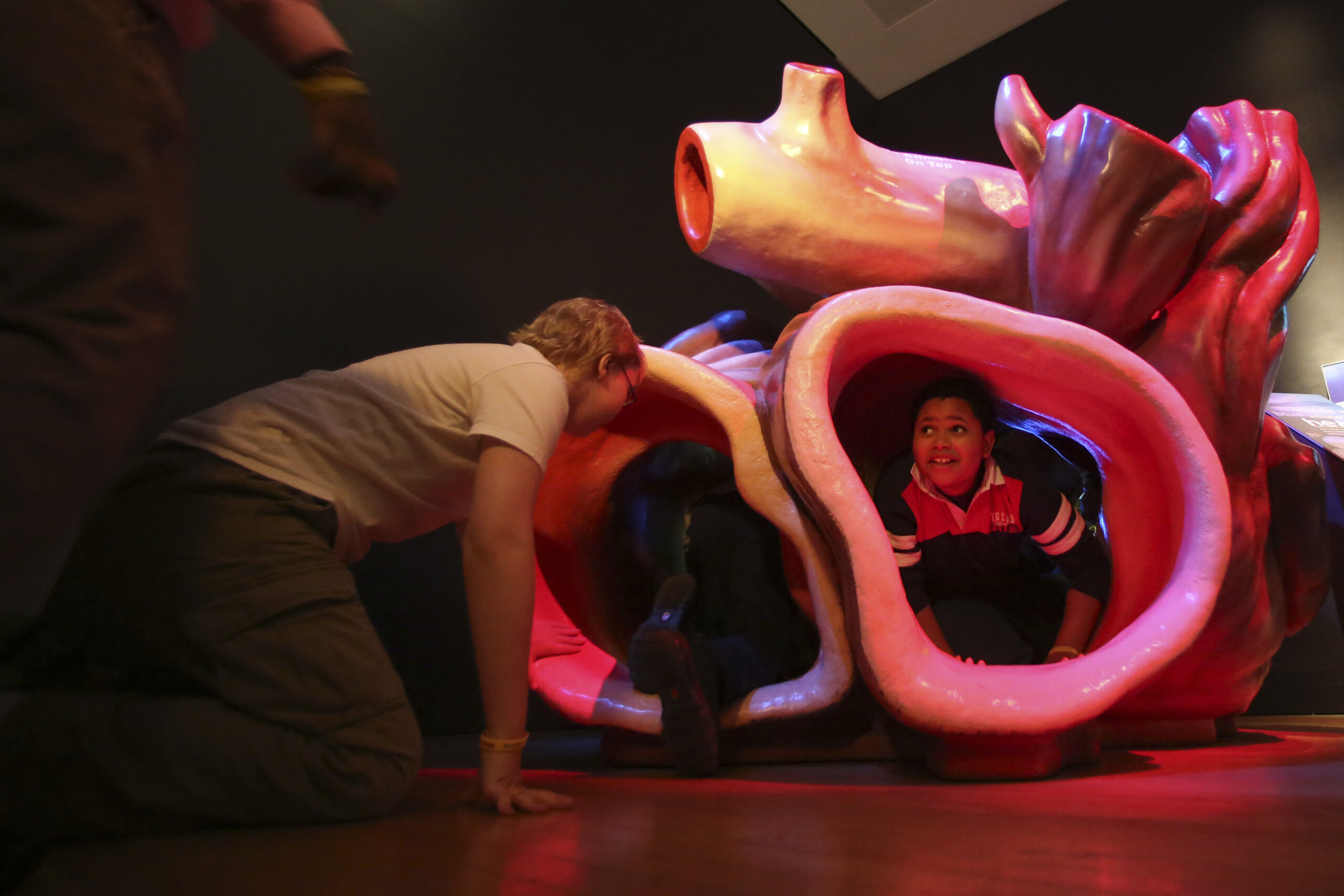 Children crawl in a replica of a whale heart
