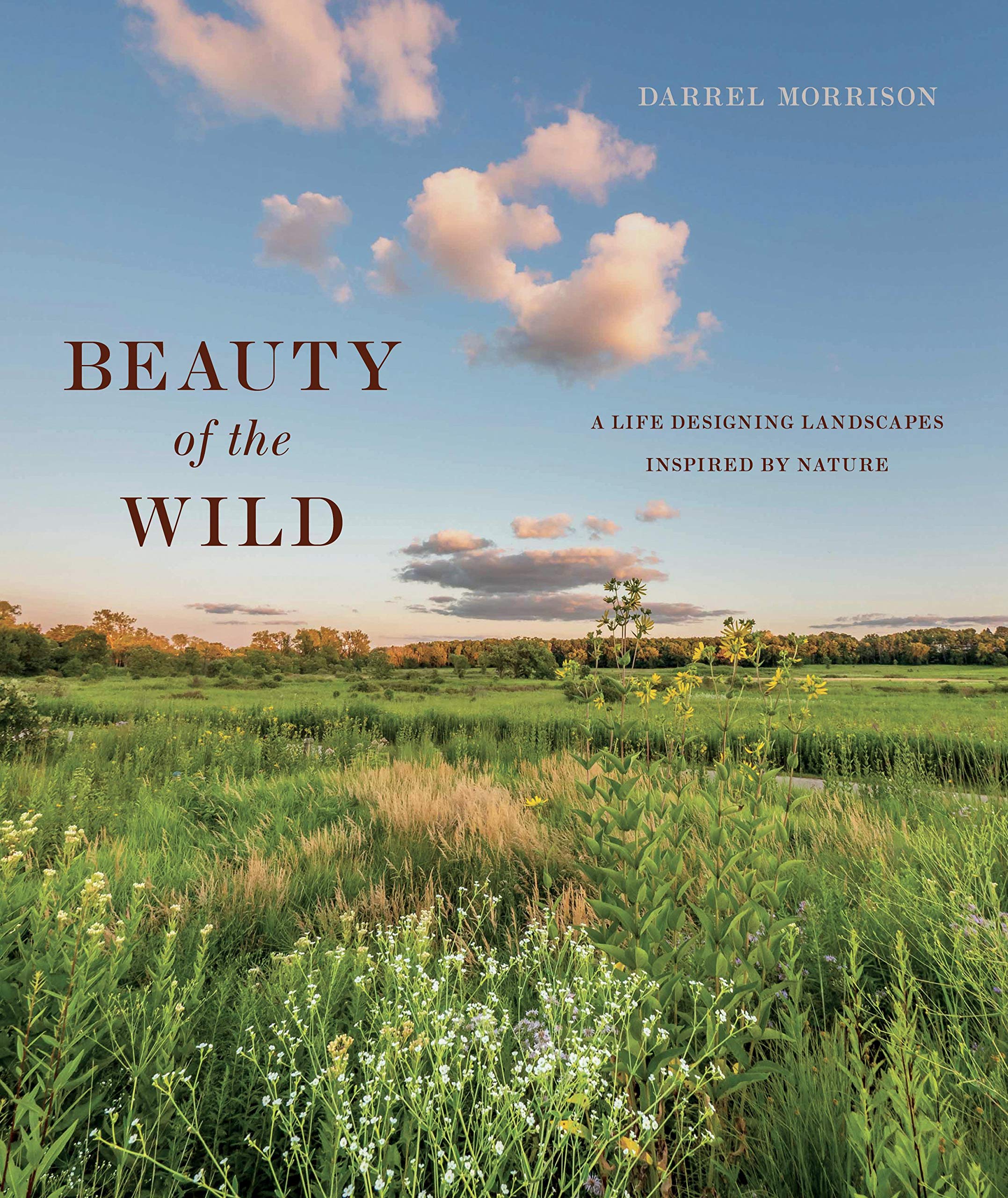 Cover of "Beauty of the Wild"
