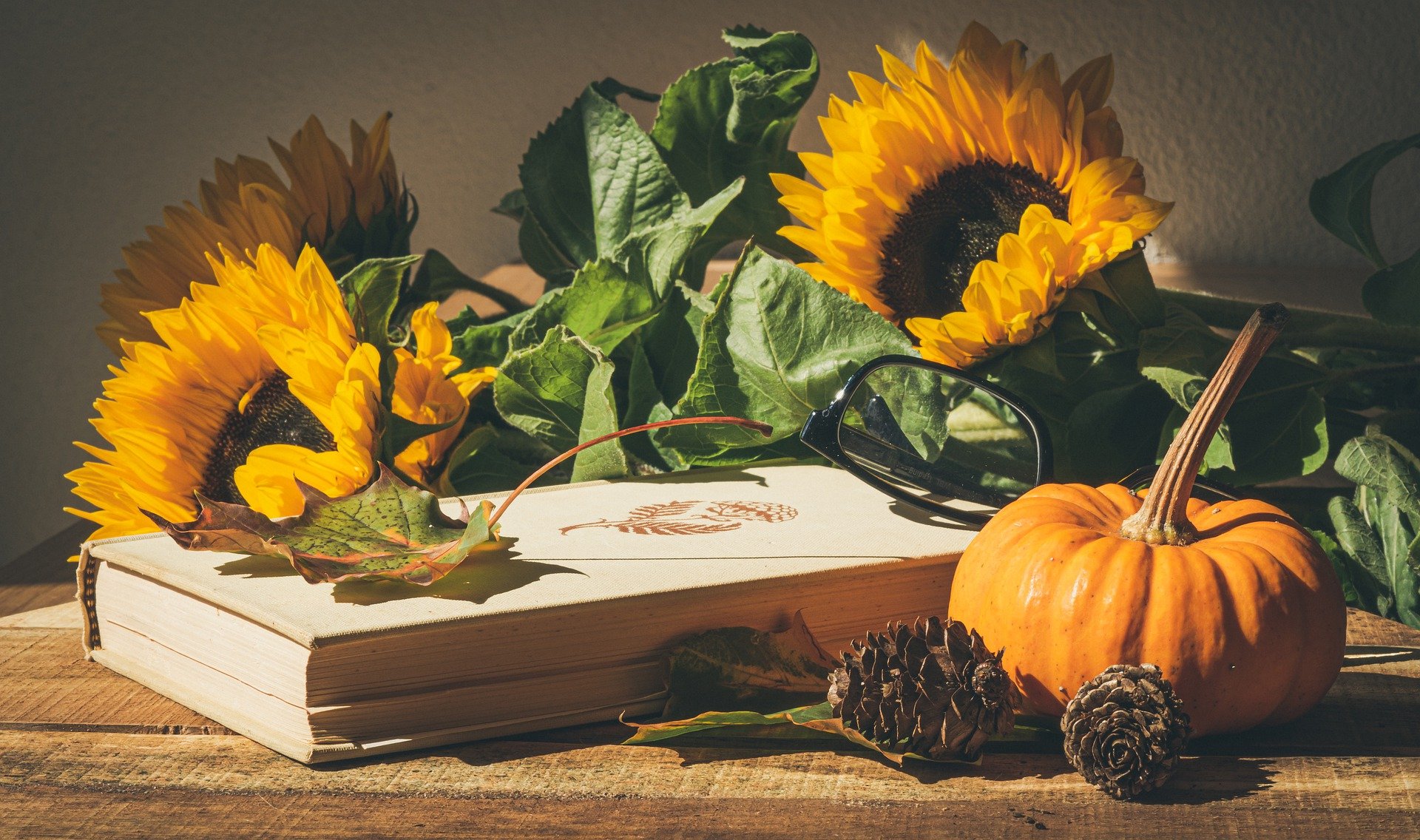 Book with sunflowers, pumpkin and pinecones.