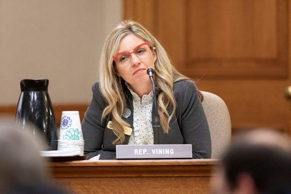 State Rep. Robyn Vining sits in session in front of a microphone.