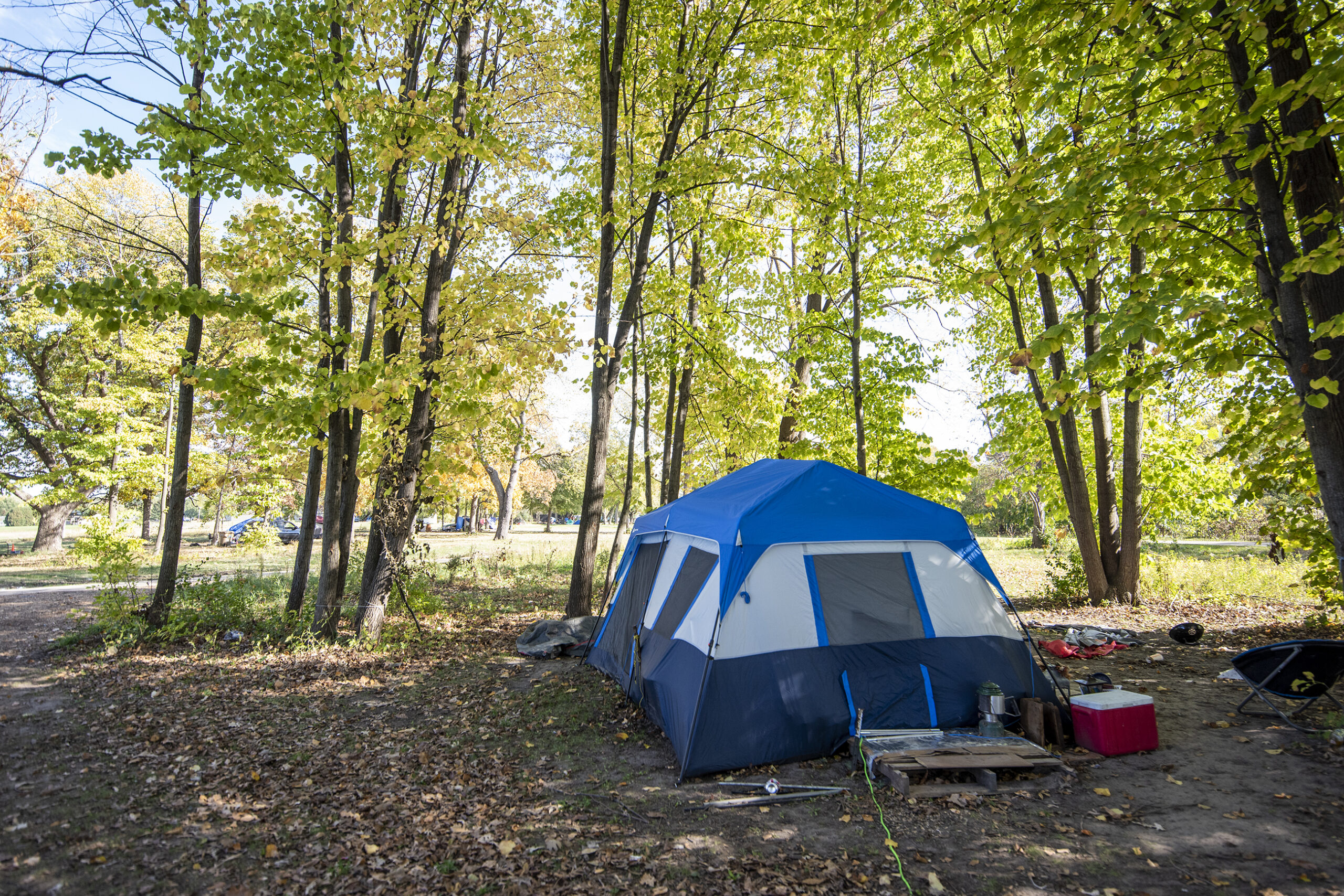 Trees with green leaves surround a blue tent in the park.