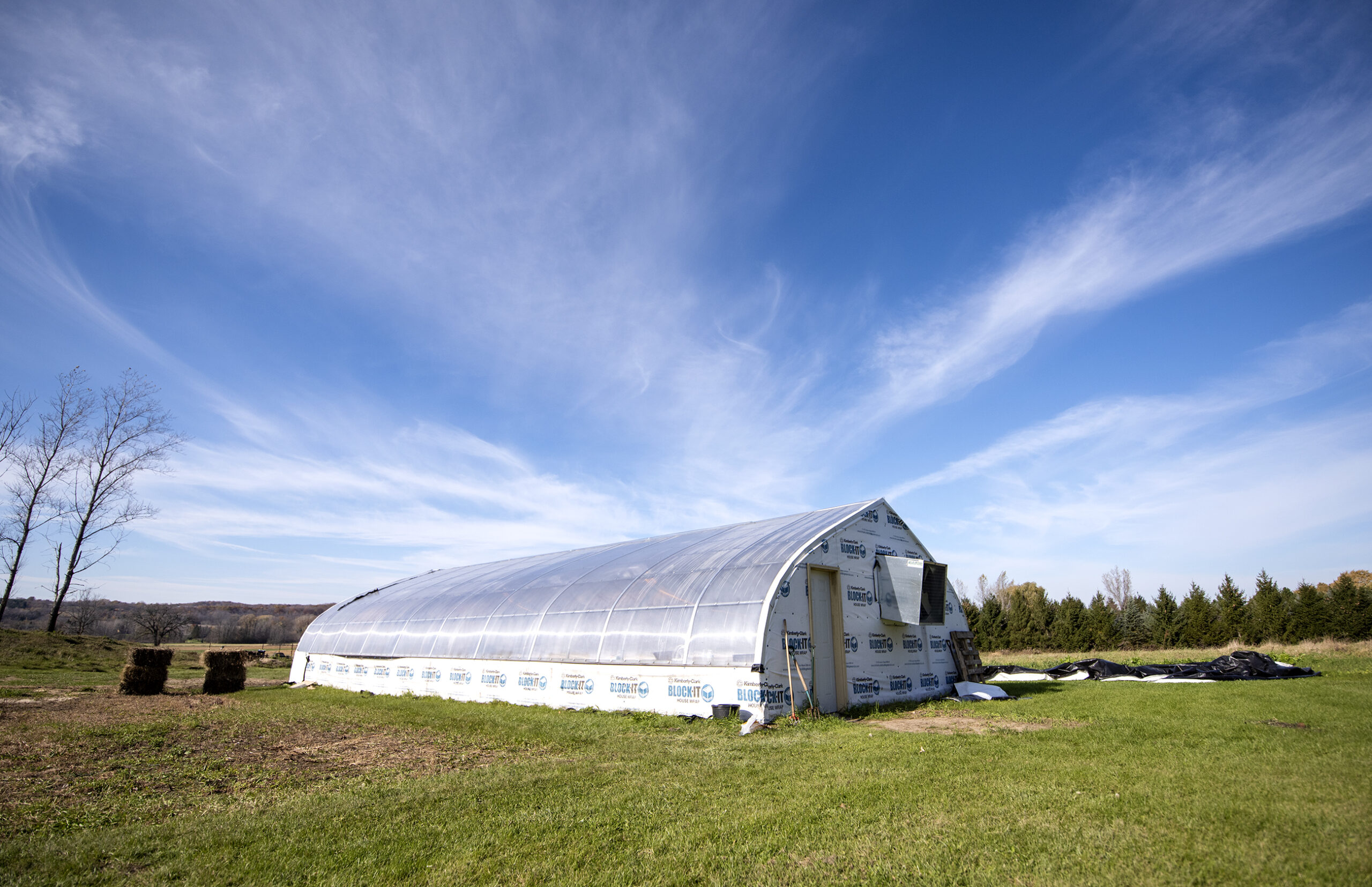 A vast blue sky expands behind a small silver exterior of a greenhouse.