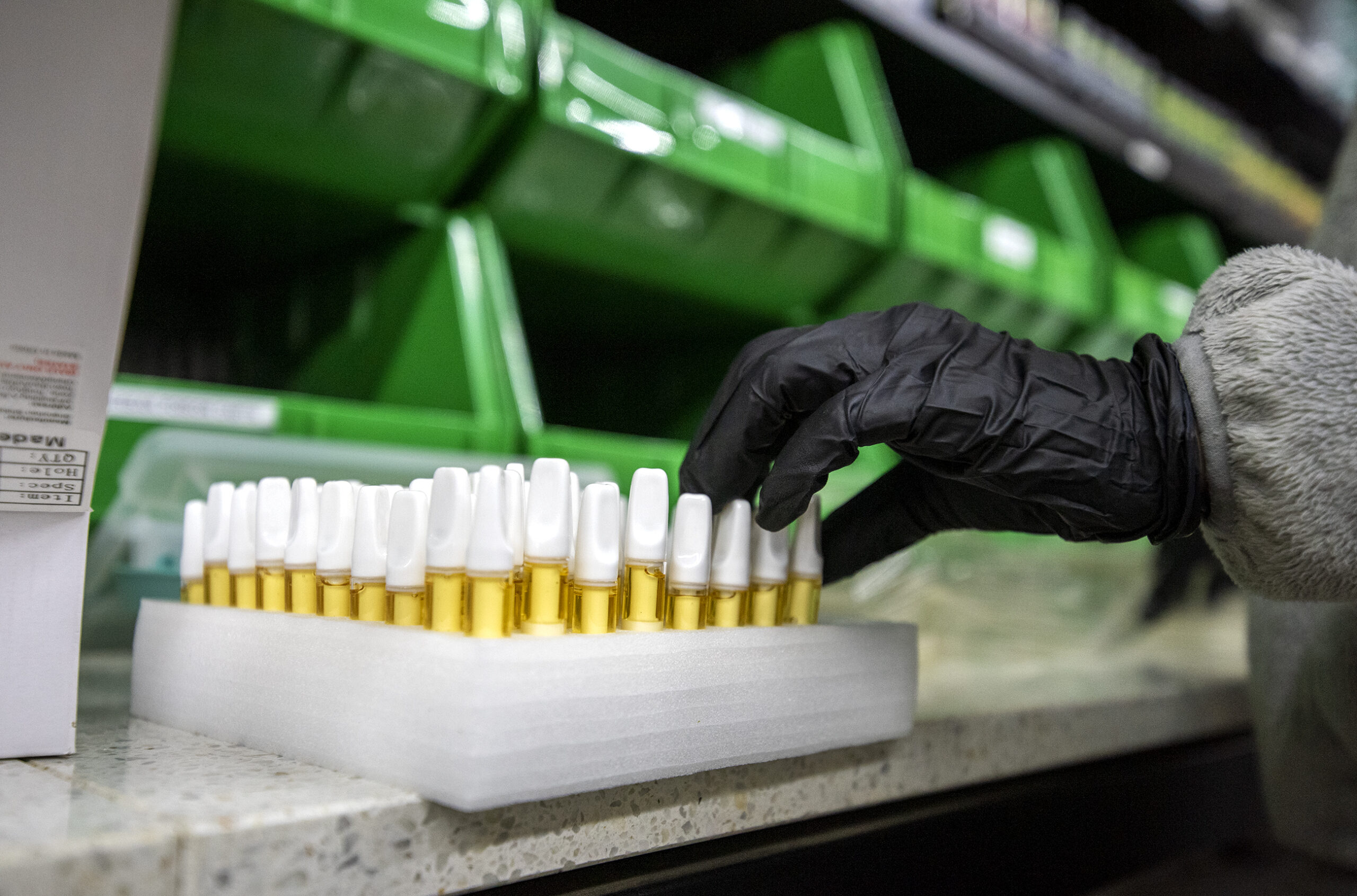 Small plastic tubes containing yellow liquid are organized in a container.