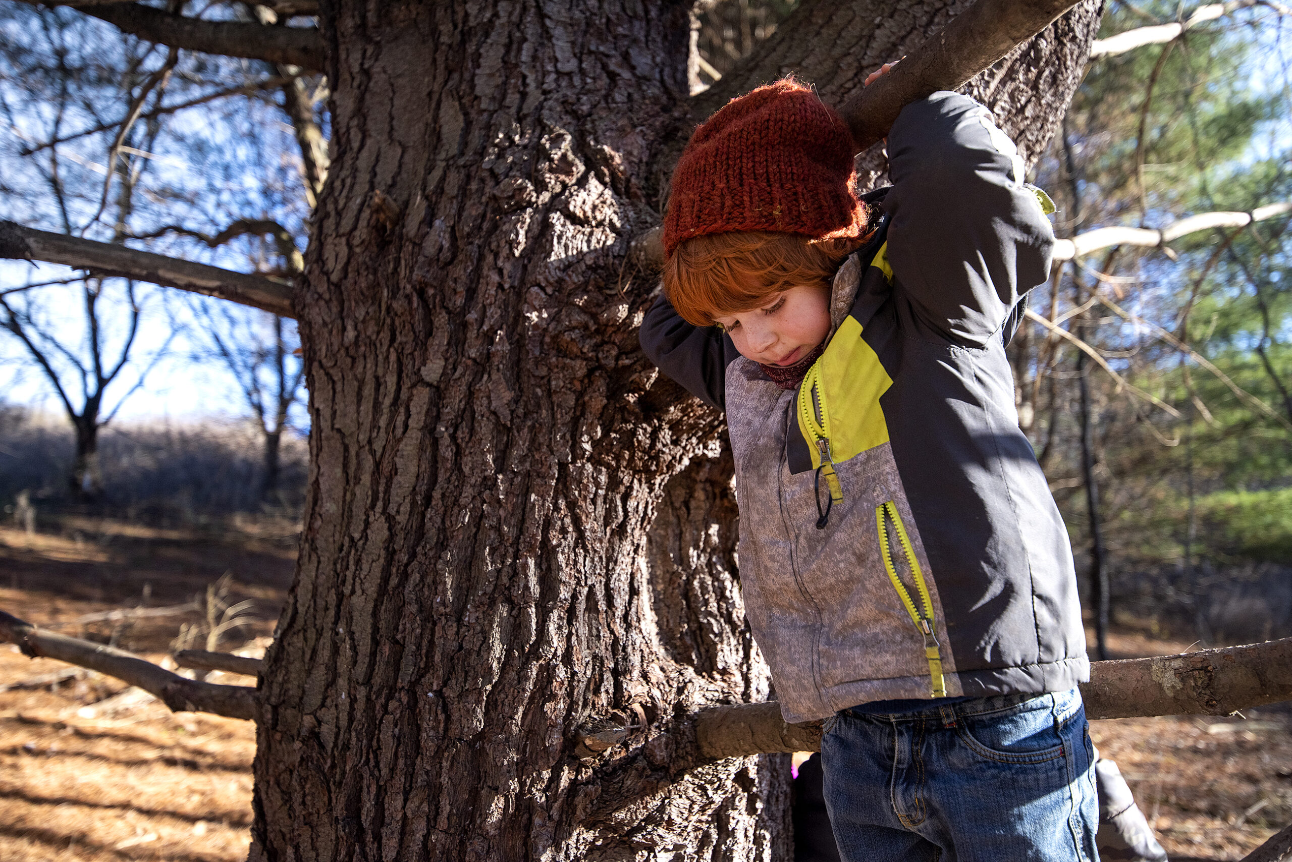 A boy with red hair grabs on to the branch of a tree.