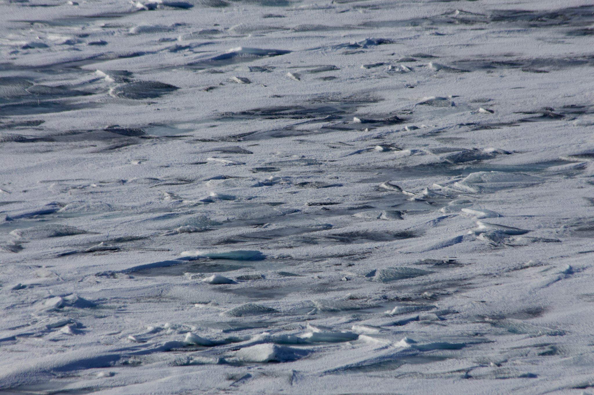 27 people rescued from floating ice chunk in Green Bay