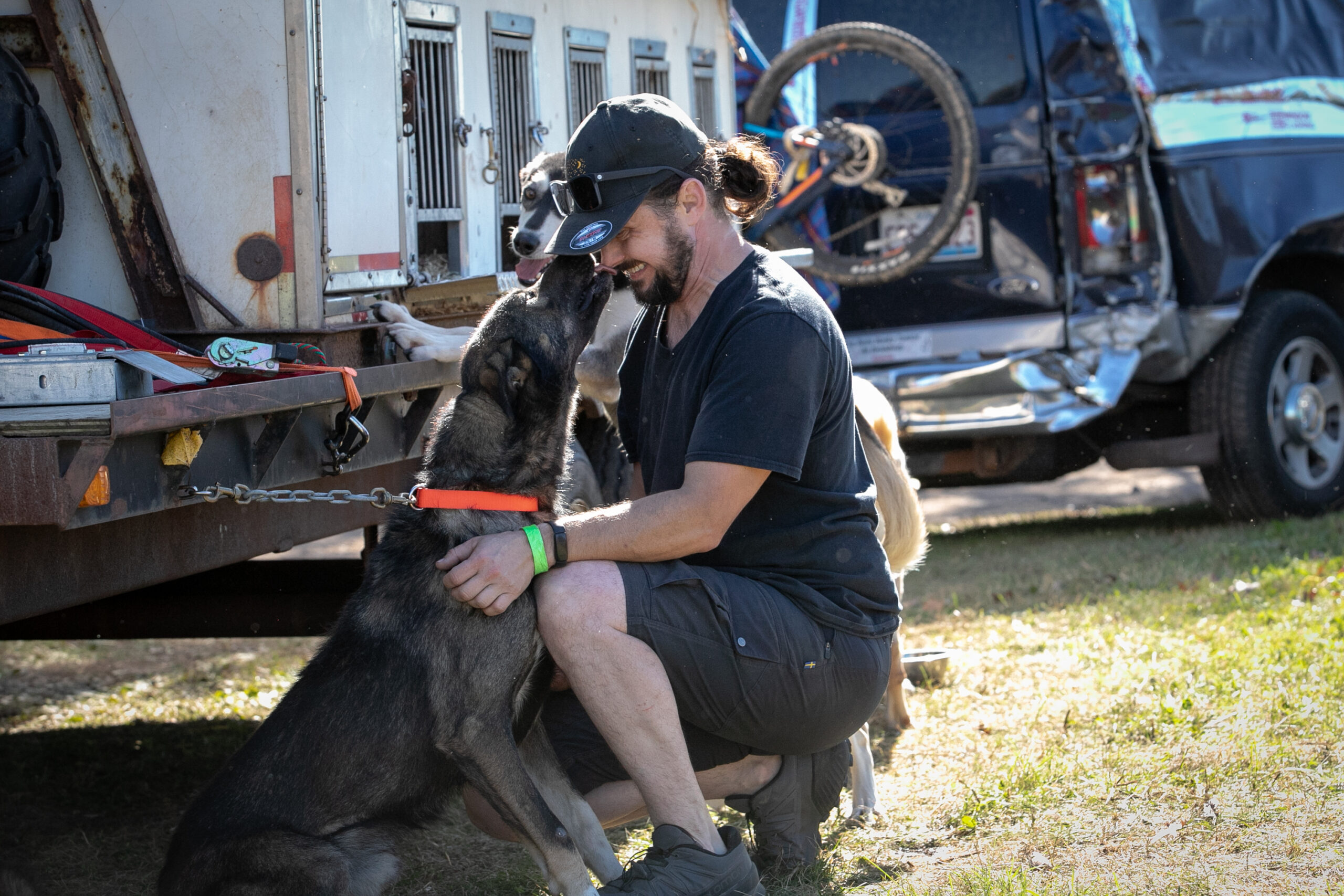 Quince Mountain gets a boop on the snoot from one of his and Blair Braverman's dogs