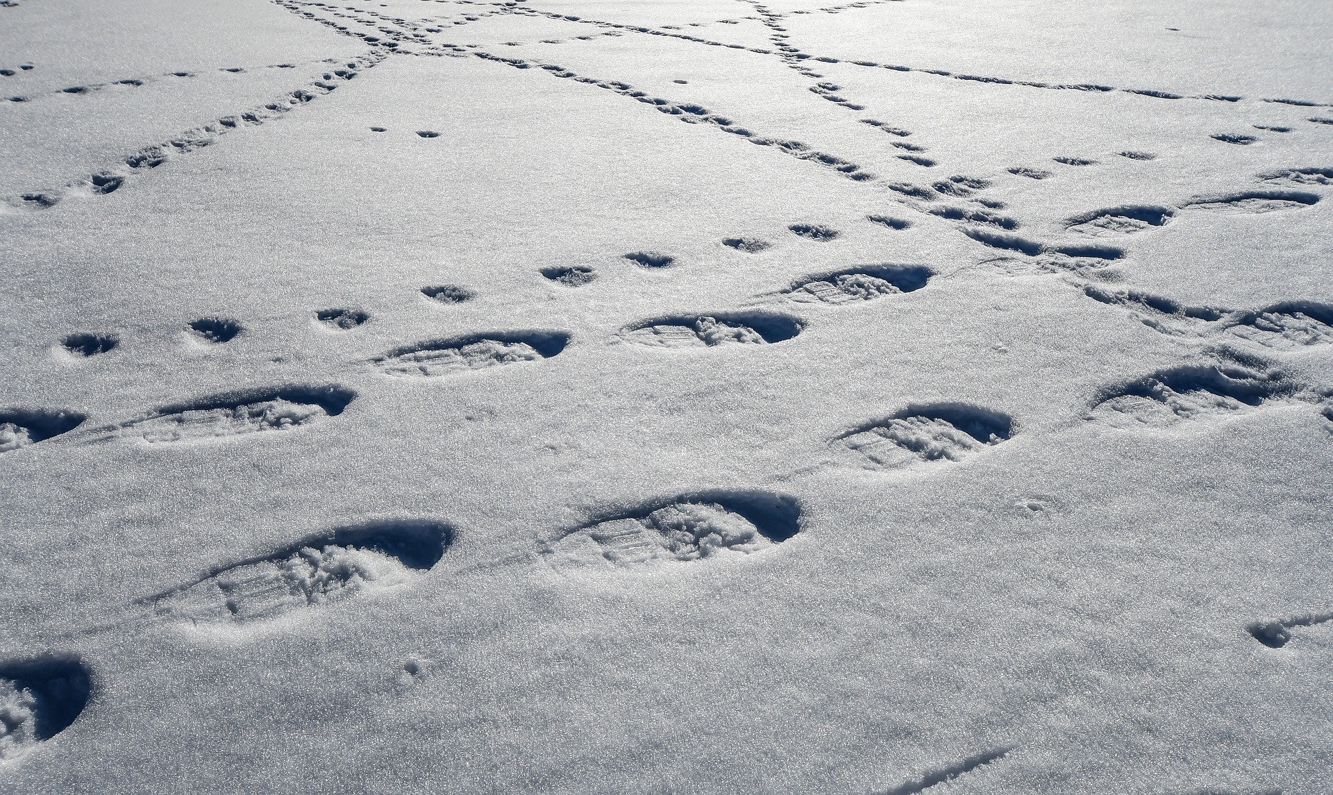 Snowshoeing tracks in snow.