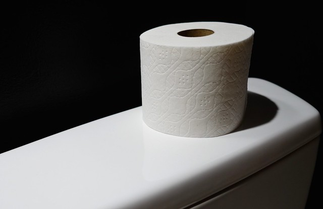 toilet paper on the back of a toilet