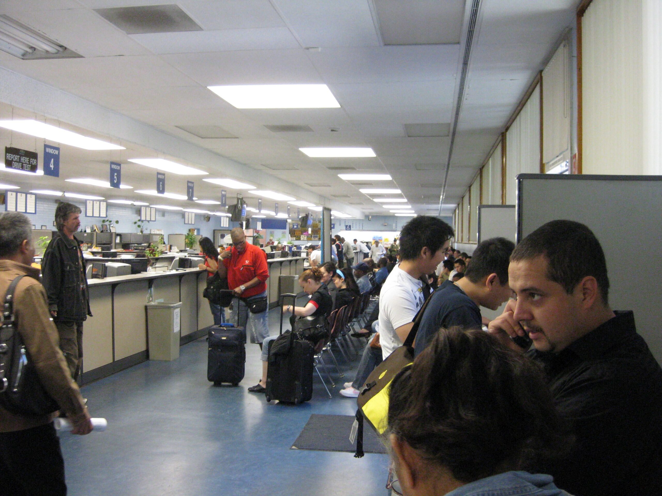 Patrons wait for service at the DMV