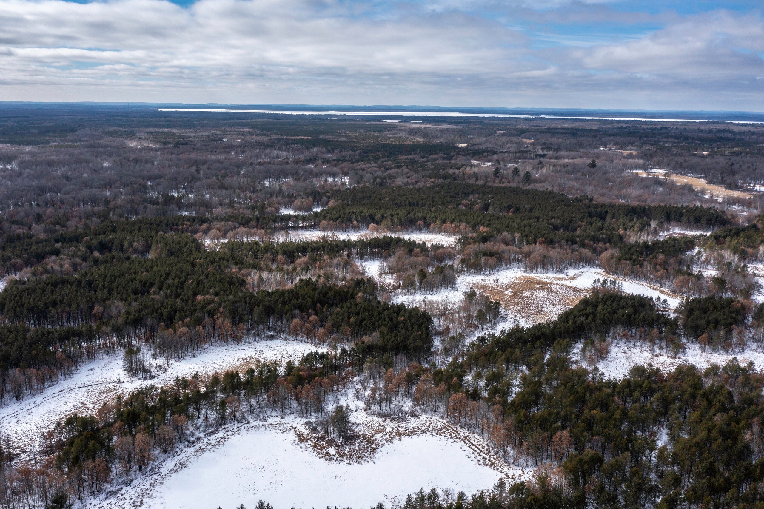 A conservation group aims to use its purchase of more than 3,000 acres of central Wisconsin forest land to increase biodiversity and preserve wetlands.