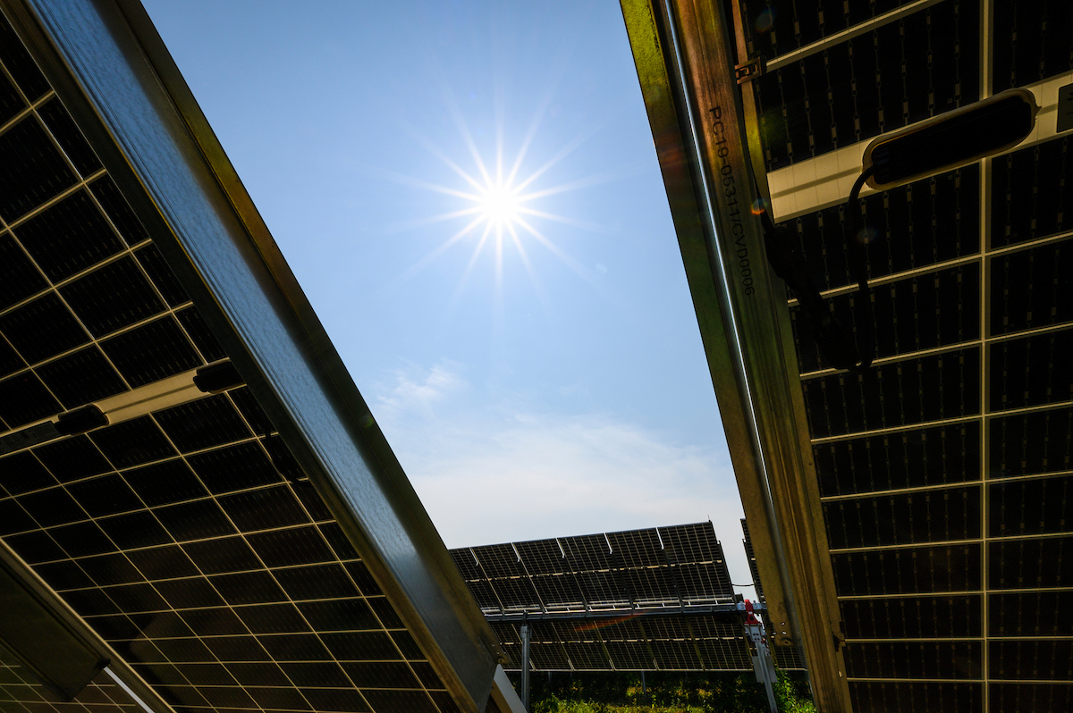 The sun shining through gap in solar panels