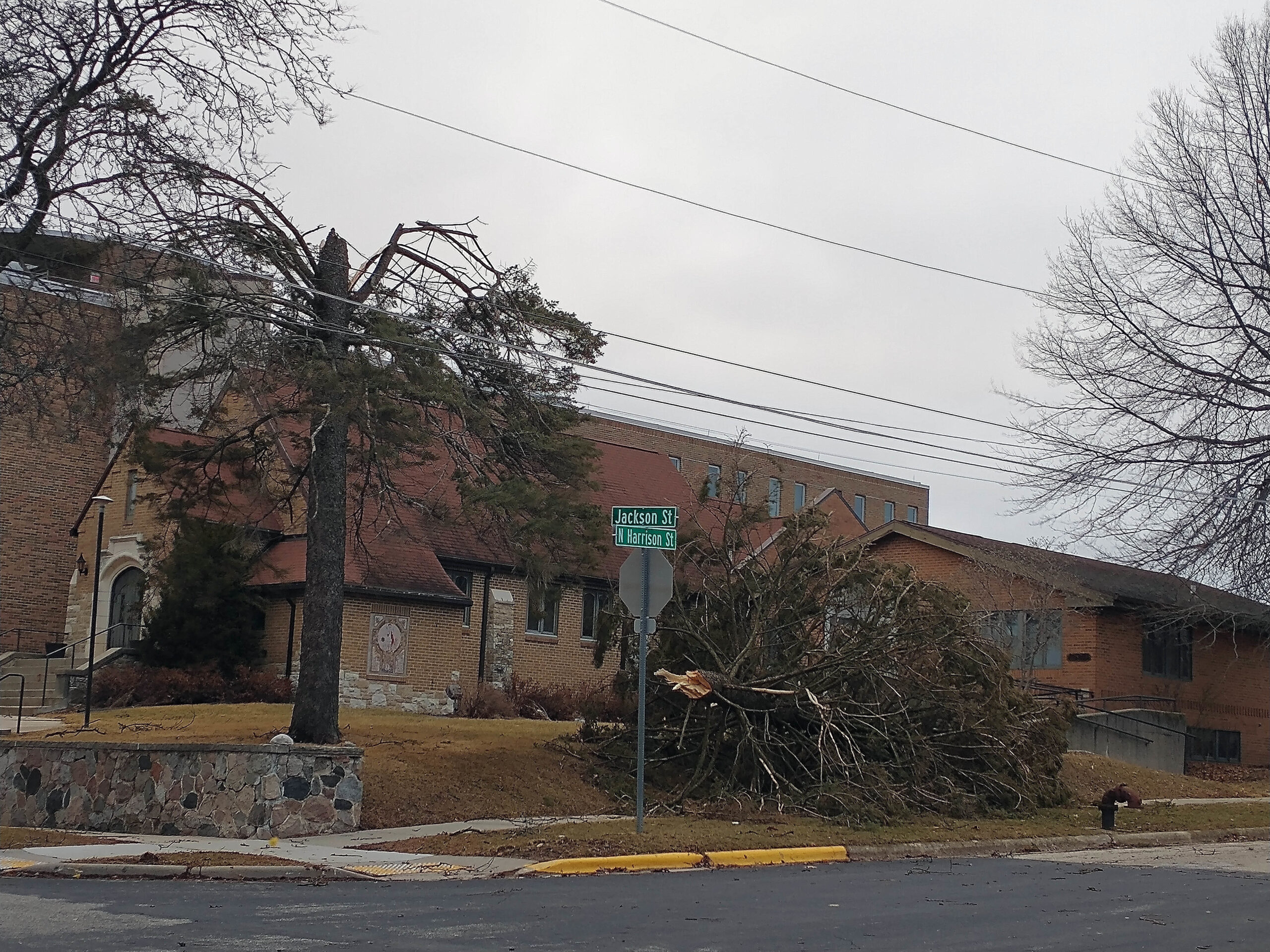 Fallen powerlines and trees can be seen in Stoughton after a severe storm