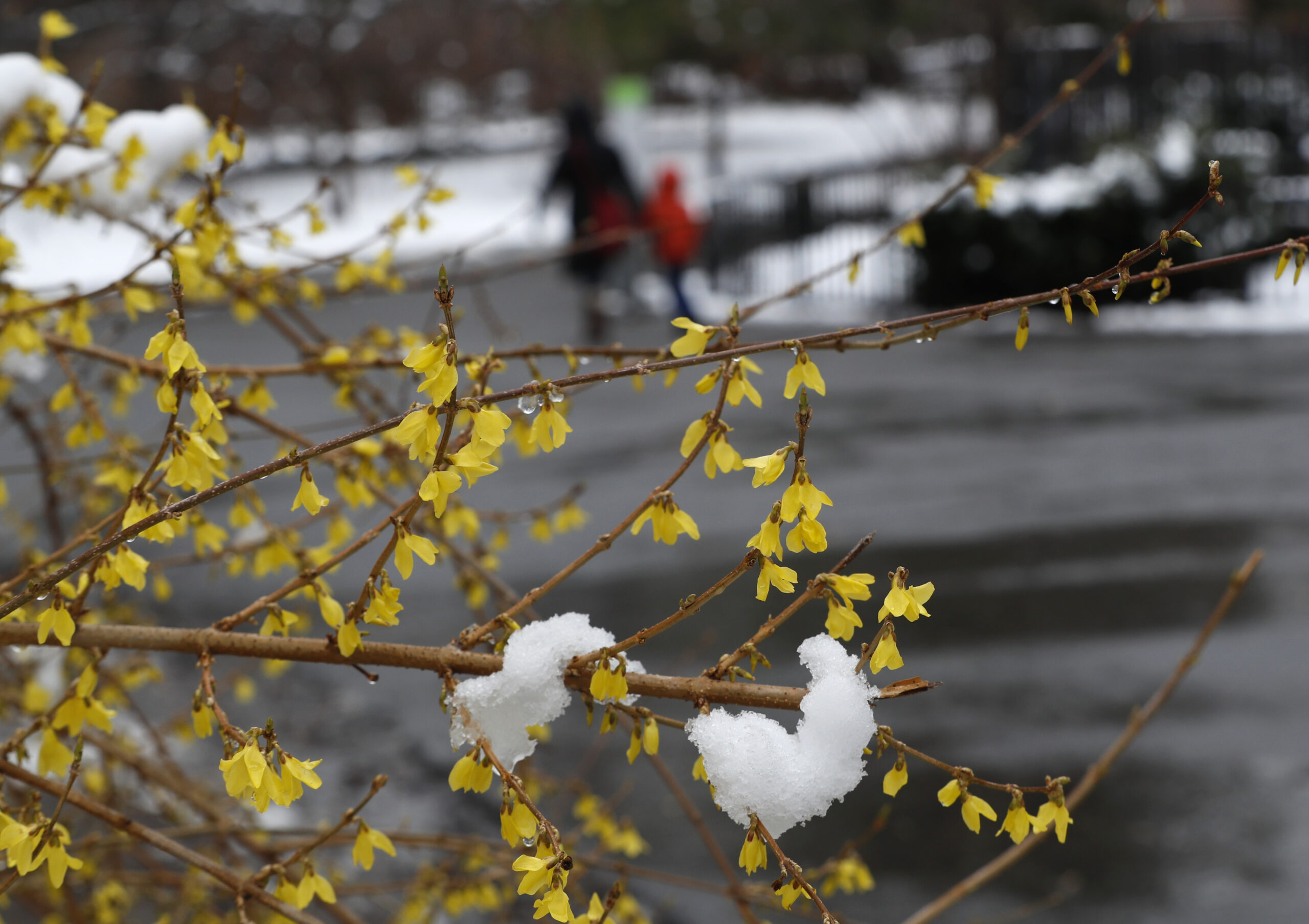 Weekend Roundup: Wisconsin’s April snowfalls, explained