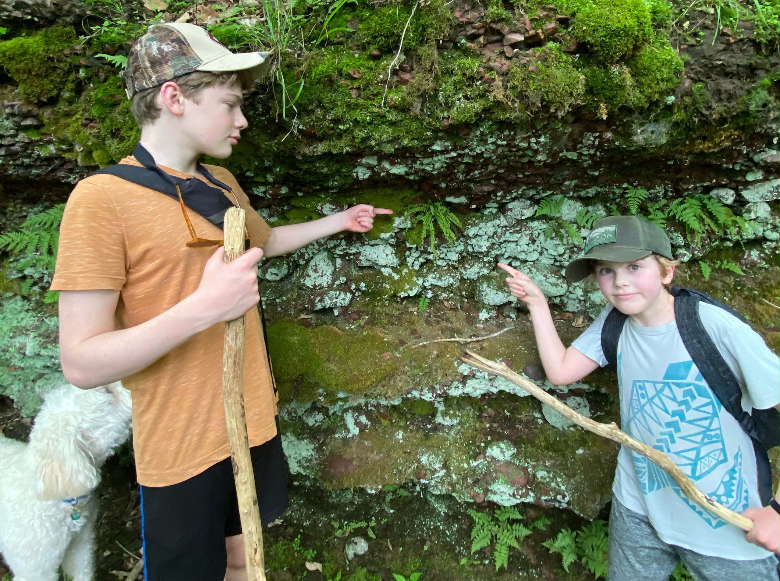 Ben Redding went hiking at a state natural area in Sauk County last summer and rediscovered a population of the rare maidenhair spleenwort