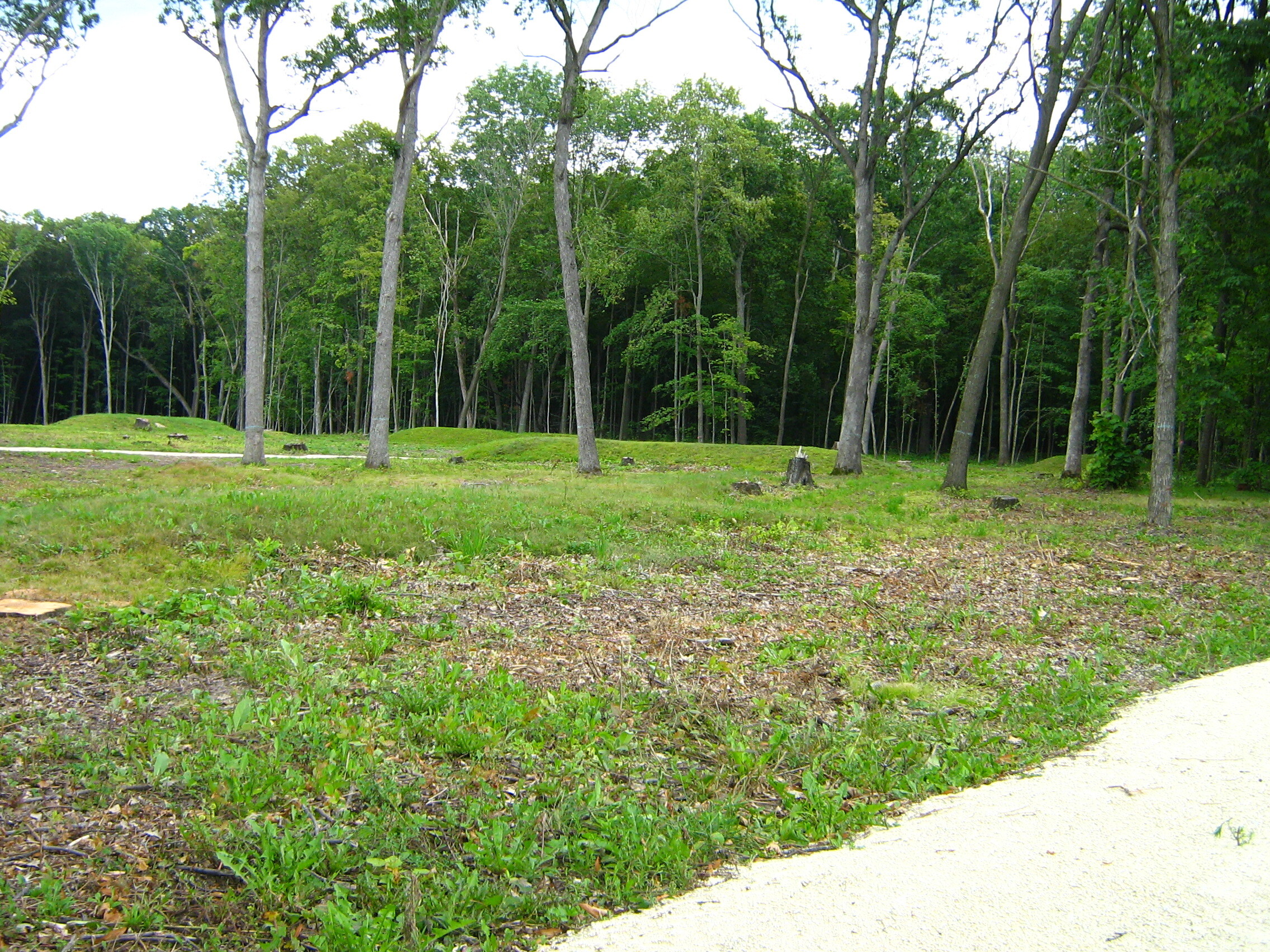Lizard Mound will be Wisconsin’s newest state park
