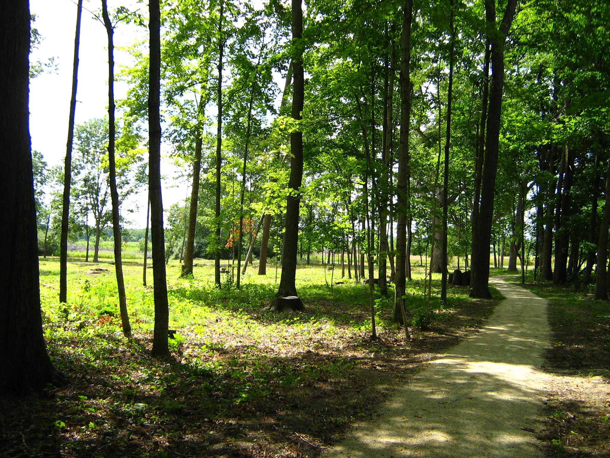 Lizard Mound Park in Farmington