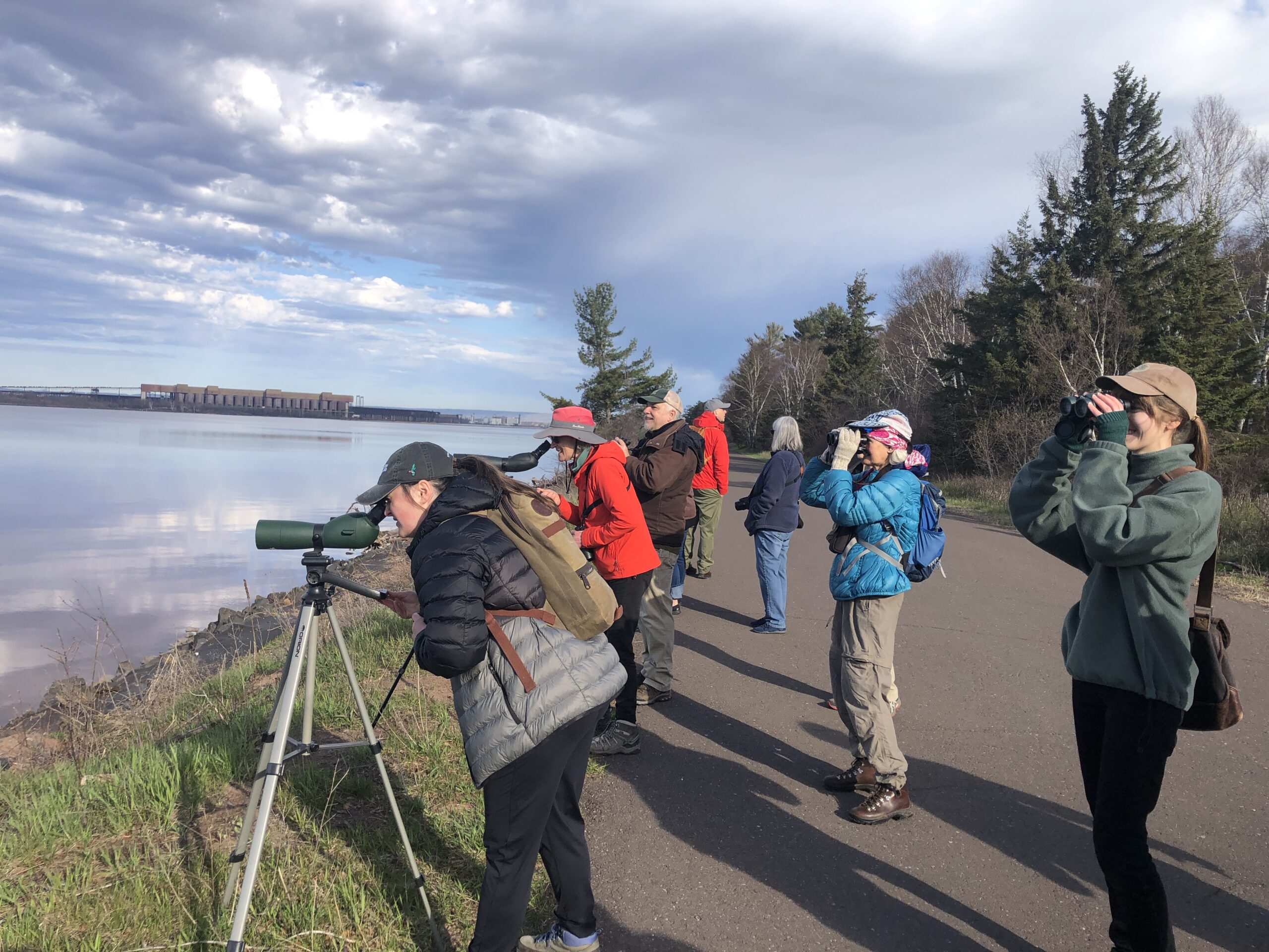 Birders scan the bay during the Migratory Bird Day walk on Wisconsin Point May 14, sponsored by the Duluth Audubon Society and Friends of the Lake Superior Reserve.