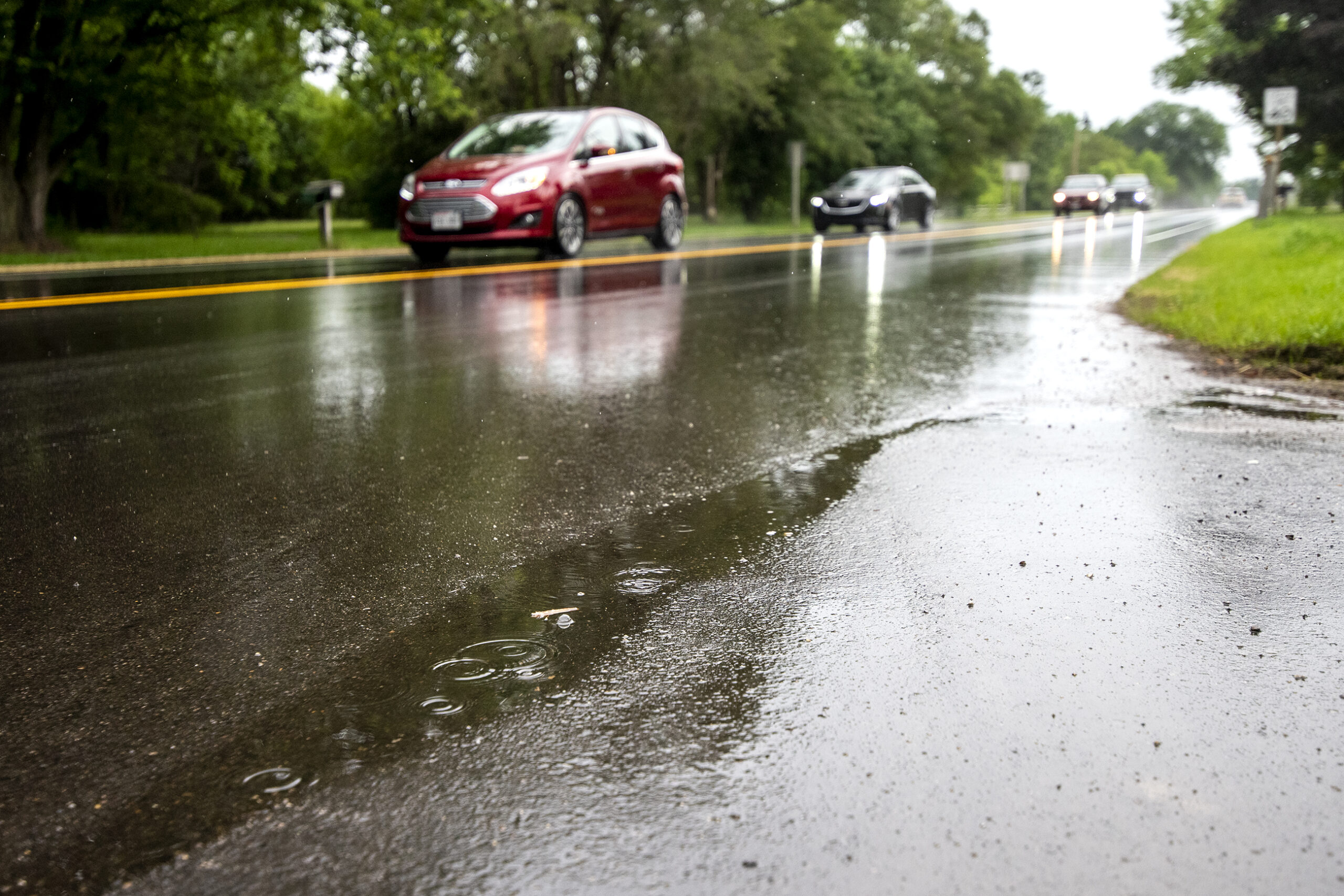 Rain drops splash in a puddle as cars drive by on a wet road.