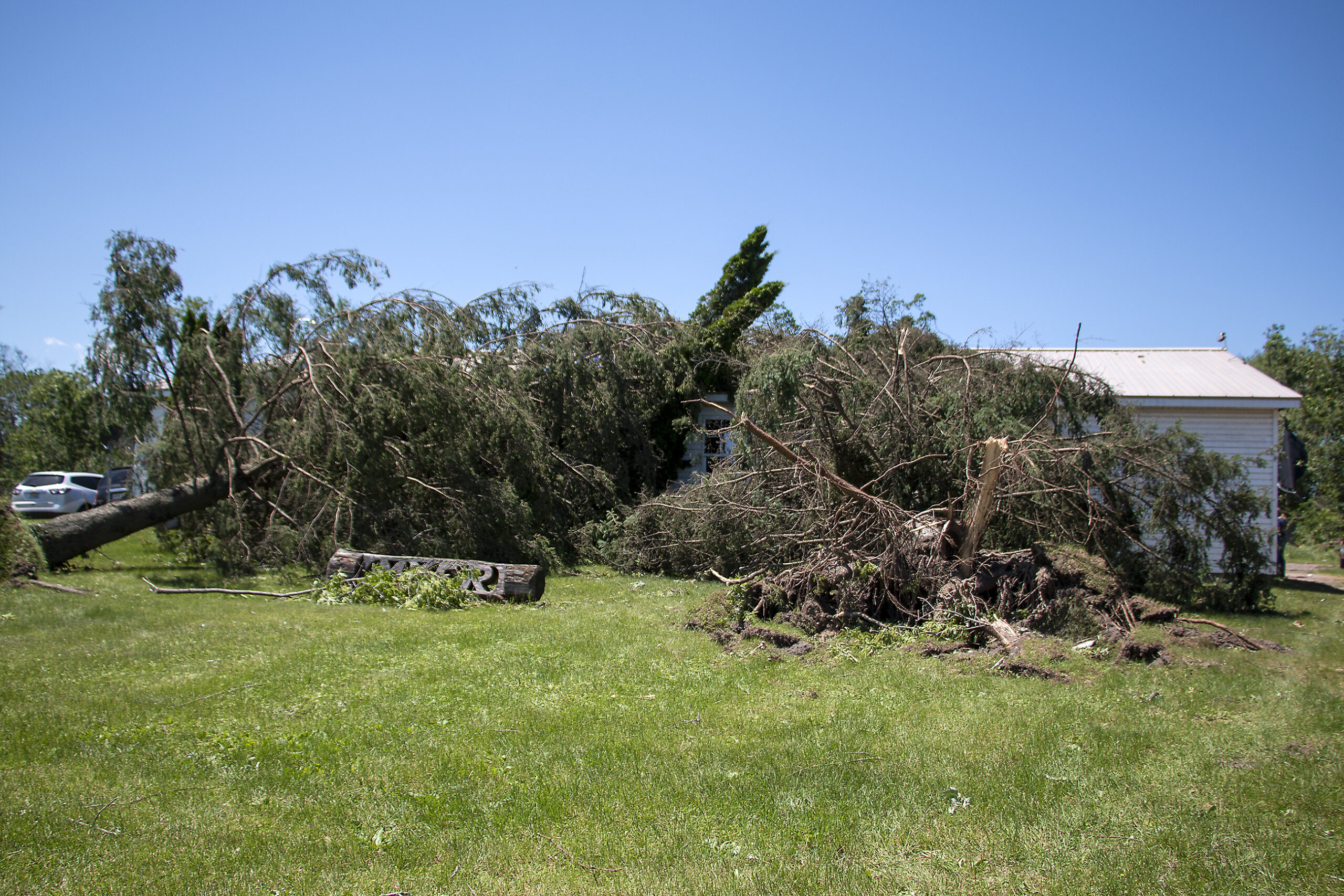 A tornado downed a large pine tree that fell directly onto the rural Monroe County home of Harry Myer.