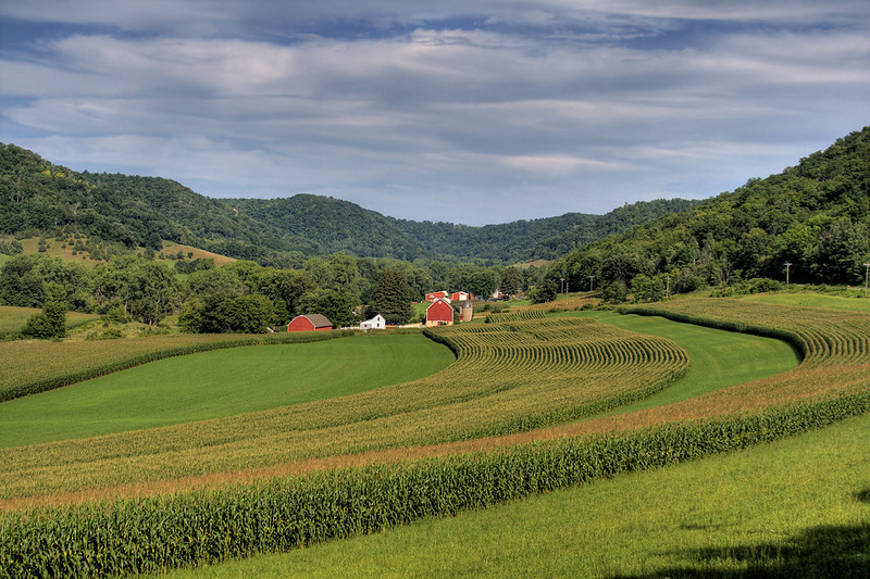 A Wisconsin farm with a barn and crop field.