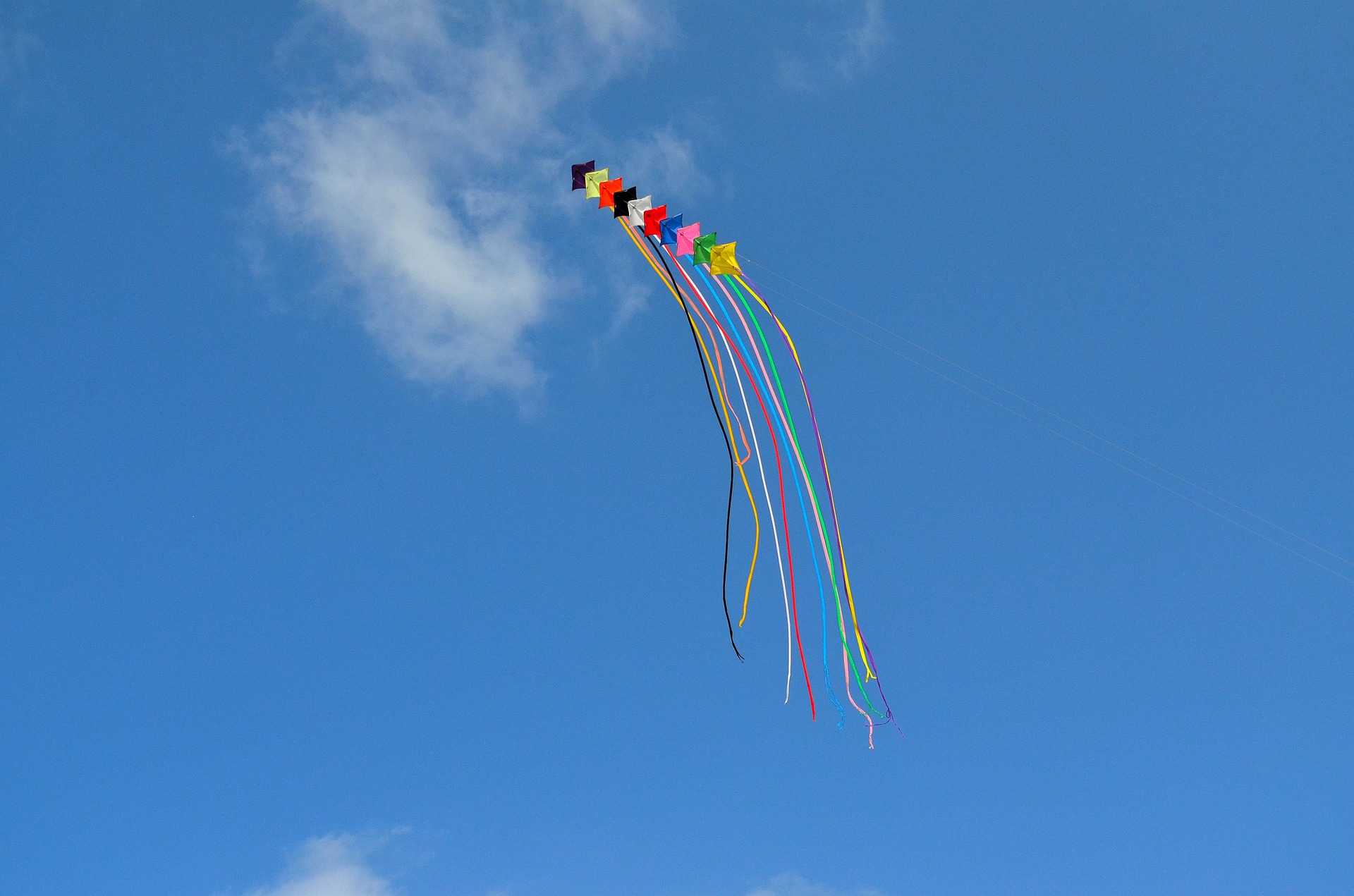 Dragon stunt kite.