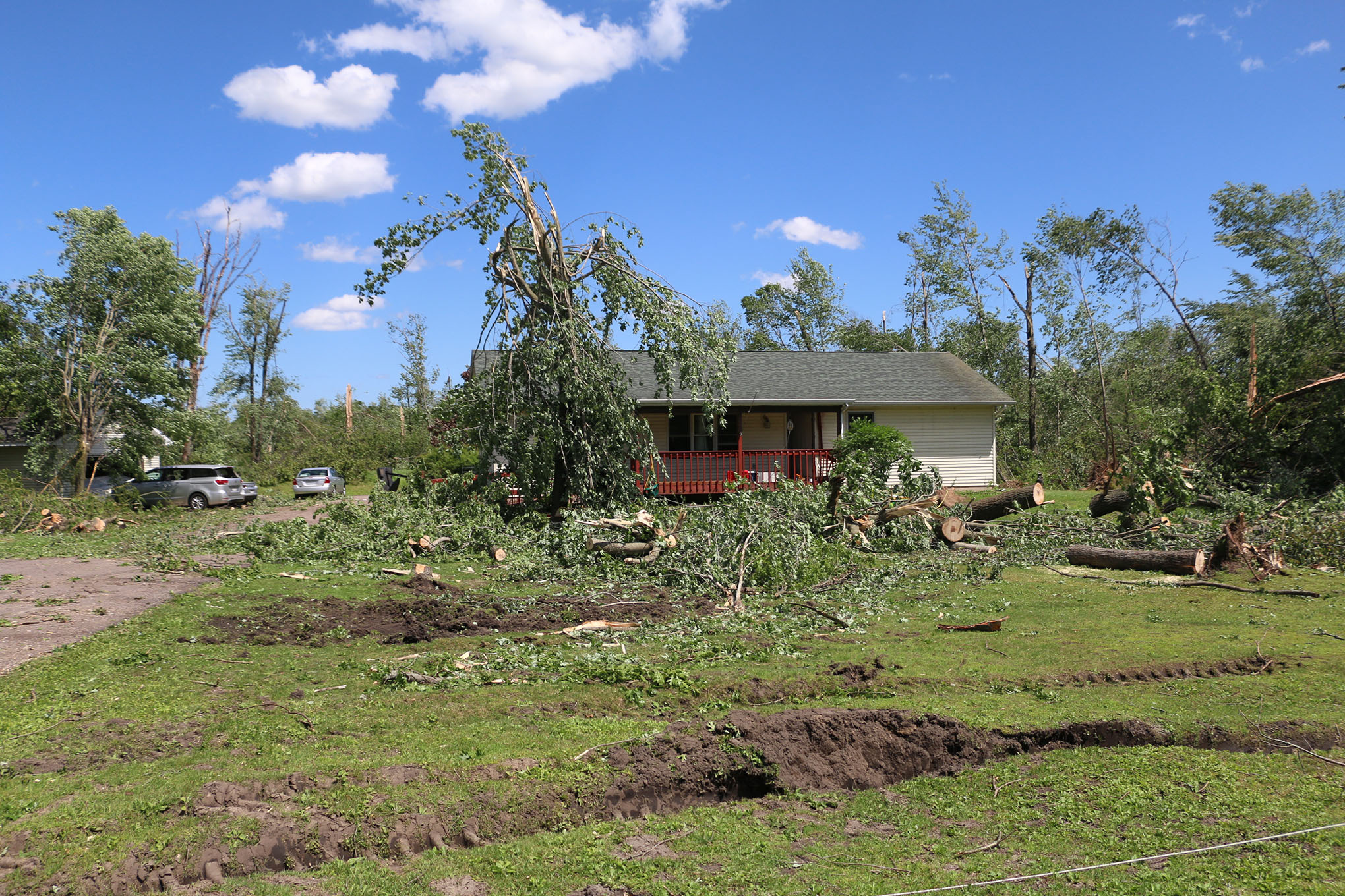 Tornado damage including downed trees at Elissa Smith's home.