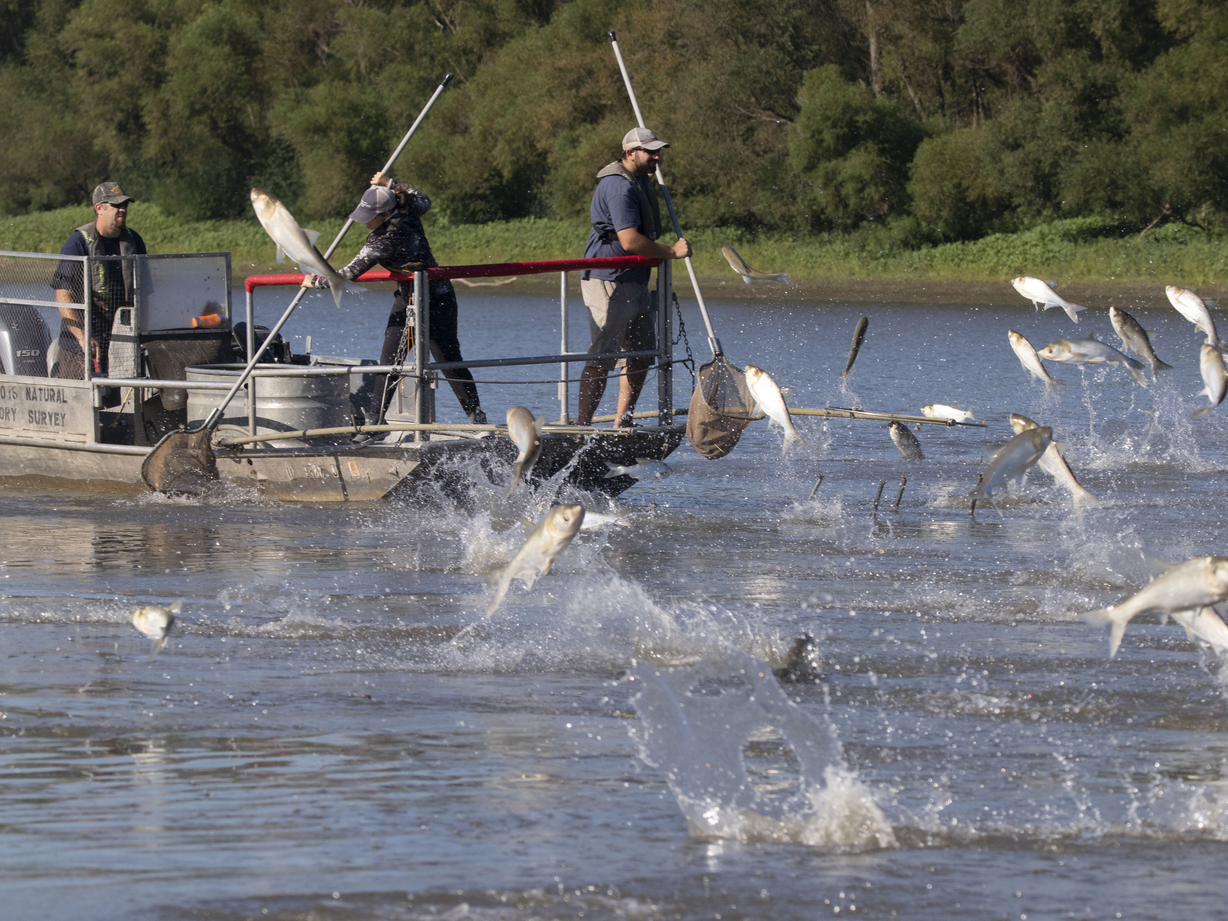 Construction set to begin in 2024 on effort to keep invasive carp out of the Great Lakes