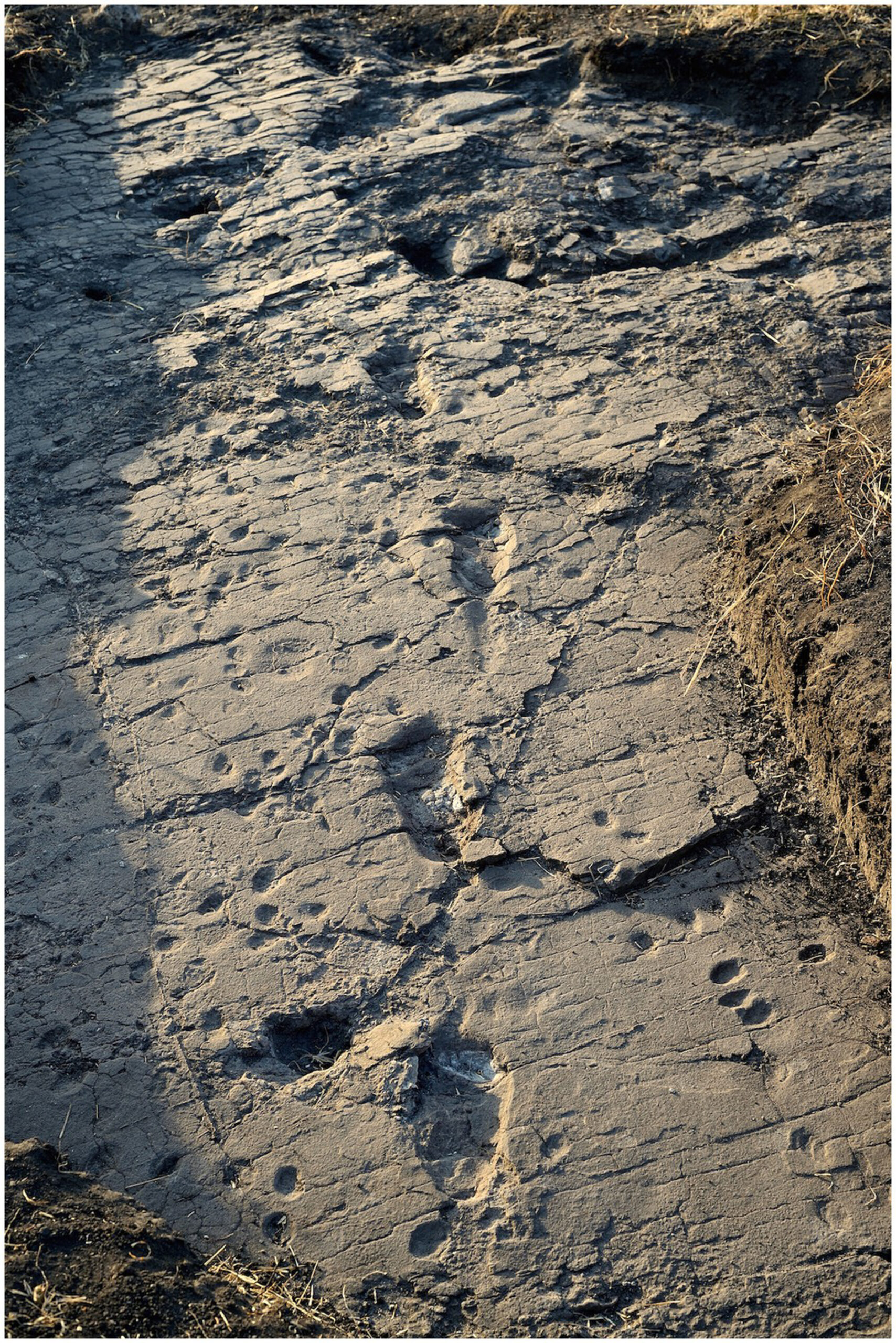 Human footprints discovered at Laetoli, a pre-historic site located in Tanzania.